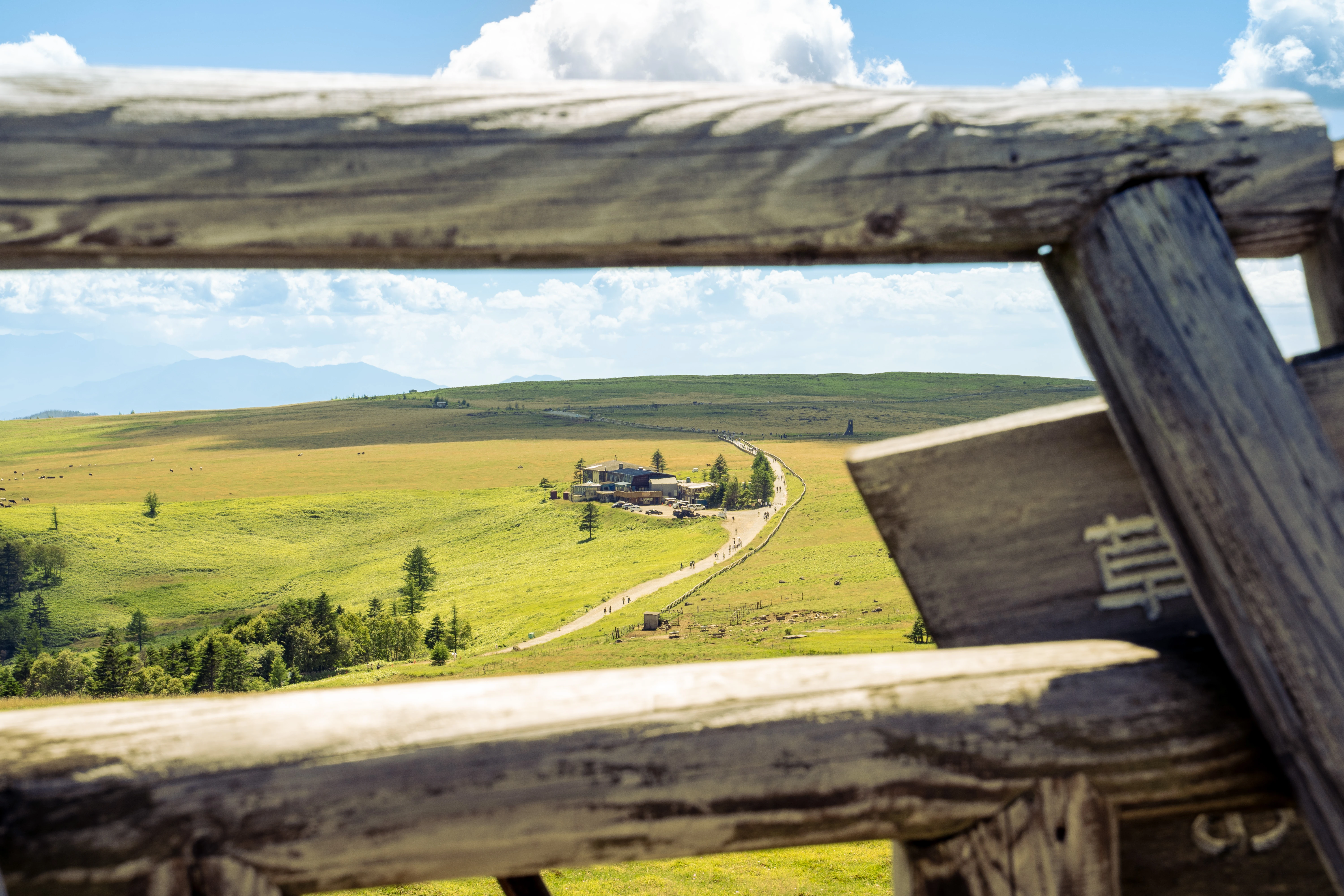Framed Serenity: Path to a Tranquil Landscape