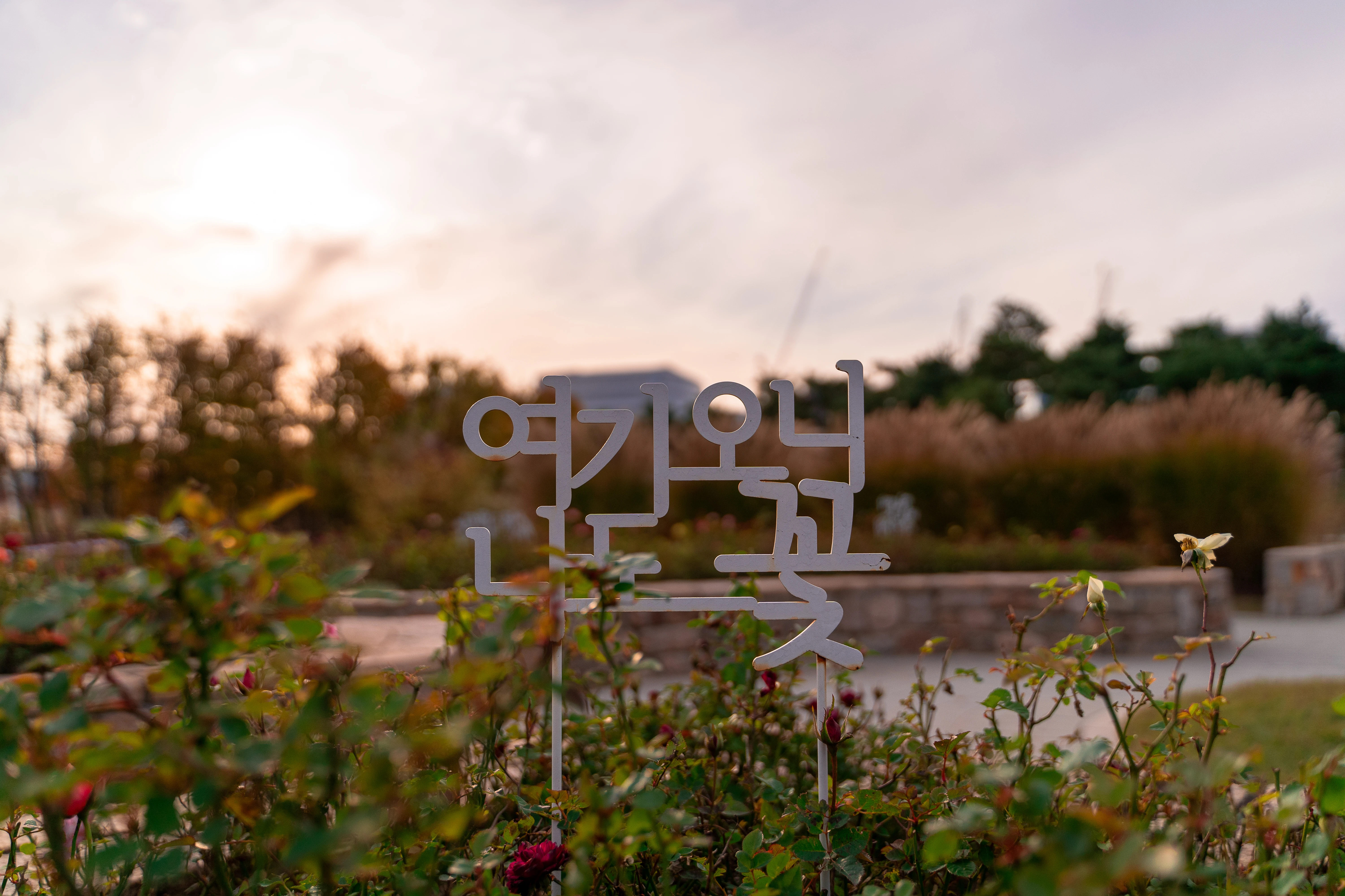 Tranquil Garden at Sunset with Korean Inscription