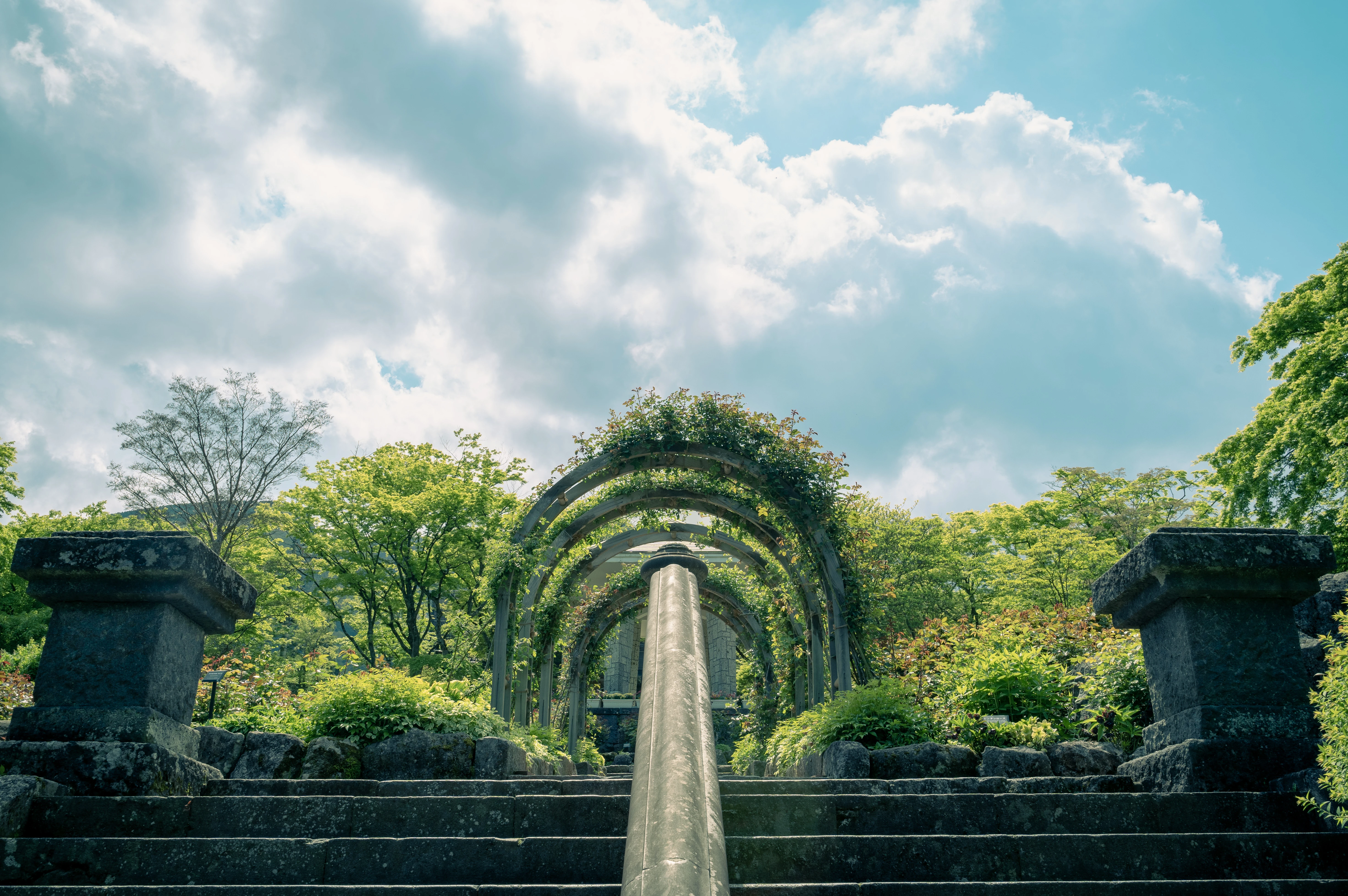 Verdant Pathway Through Botanical Arches