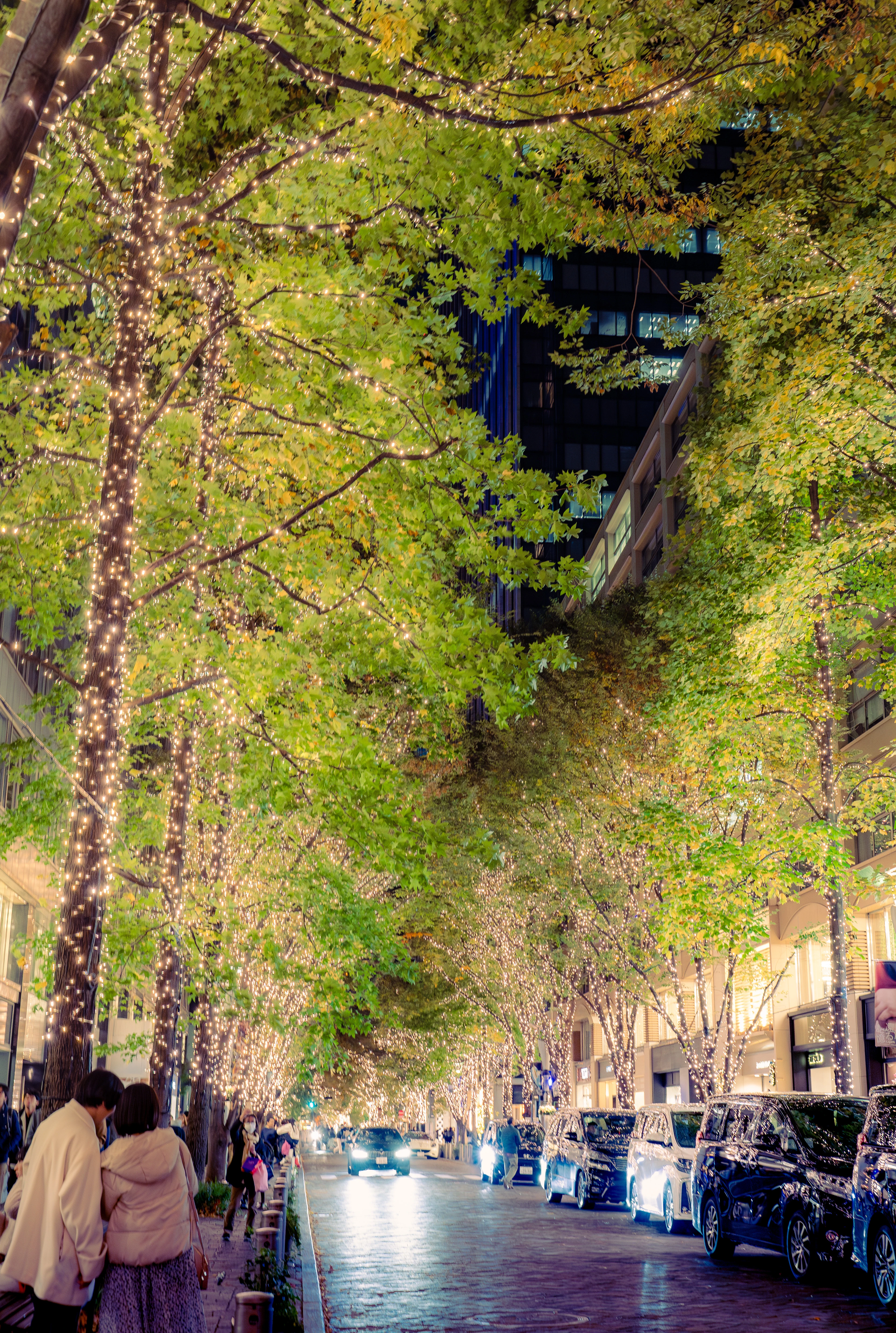 Illuminated City Street Under Lustrous Autumn Trees