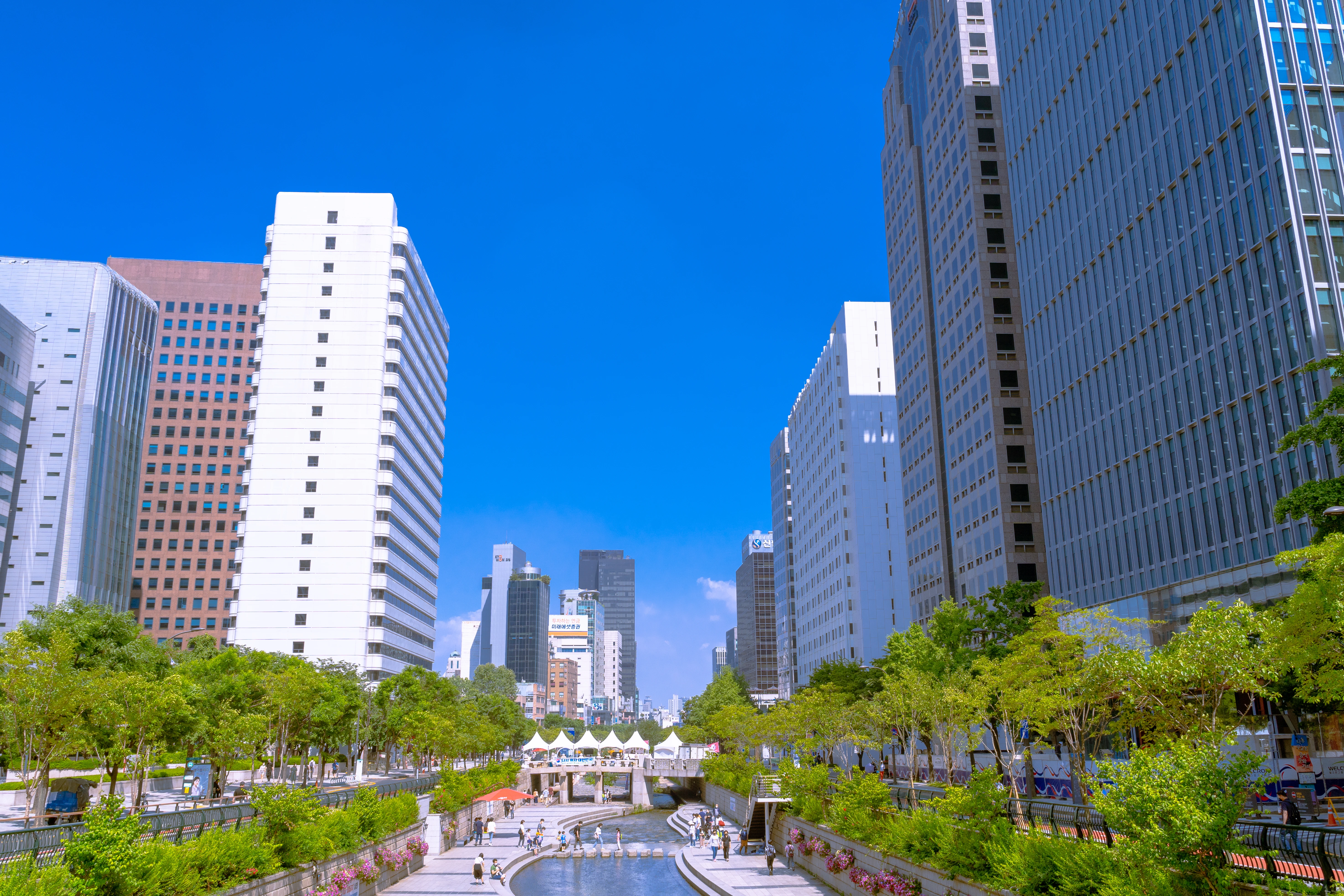 Tranquil Urban Stream Amid Towering Skyscrapers