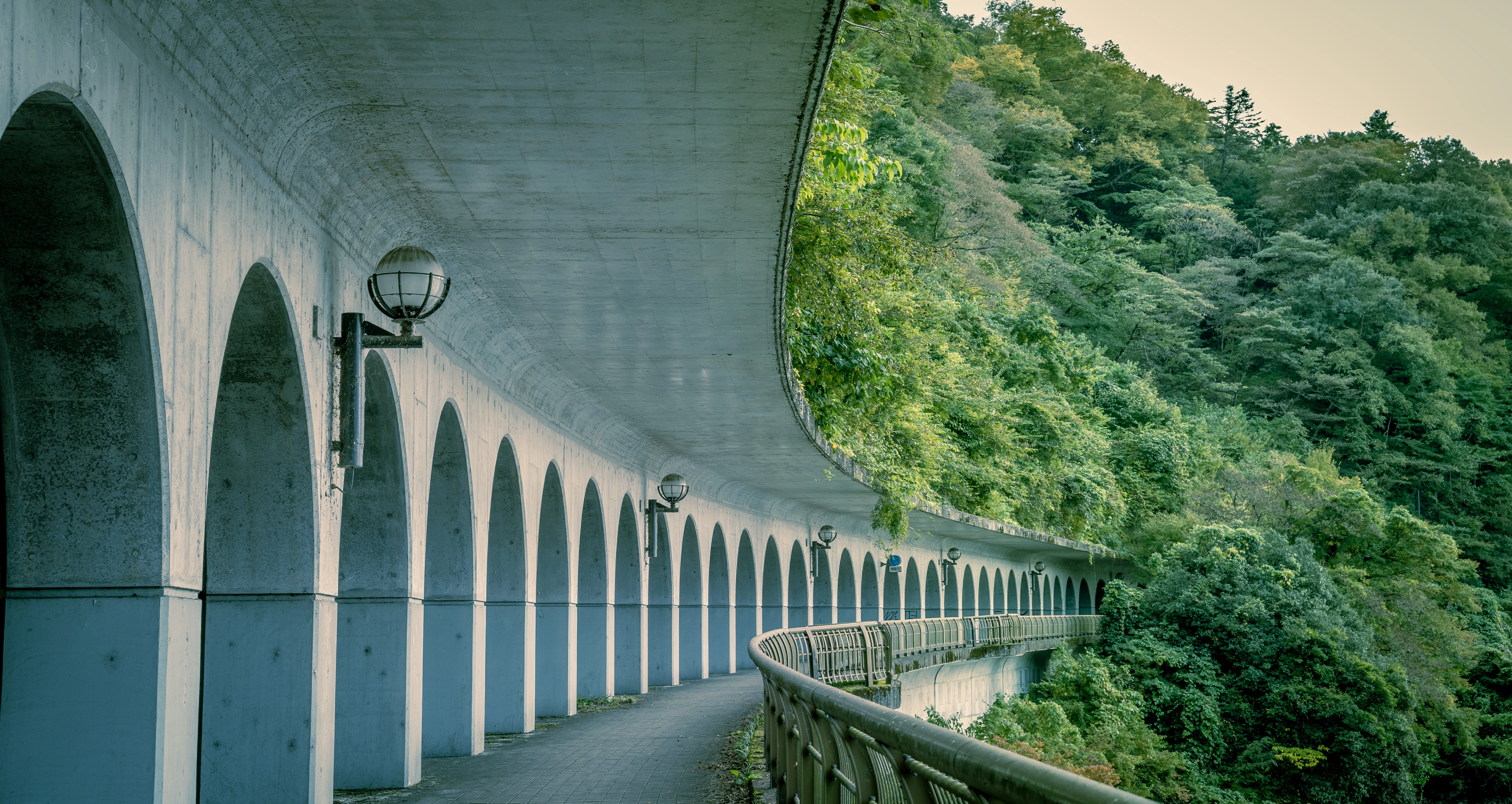 Curved Walkway Through Arched Tunnels Beside Lush Forest