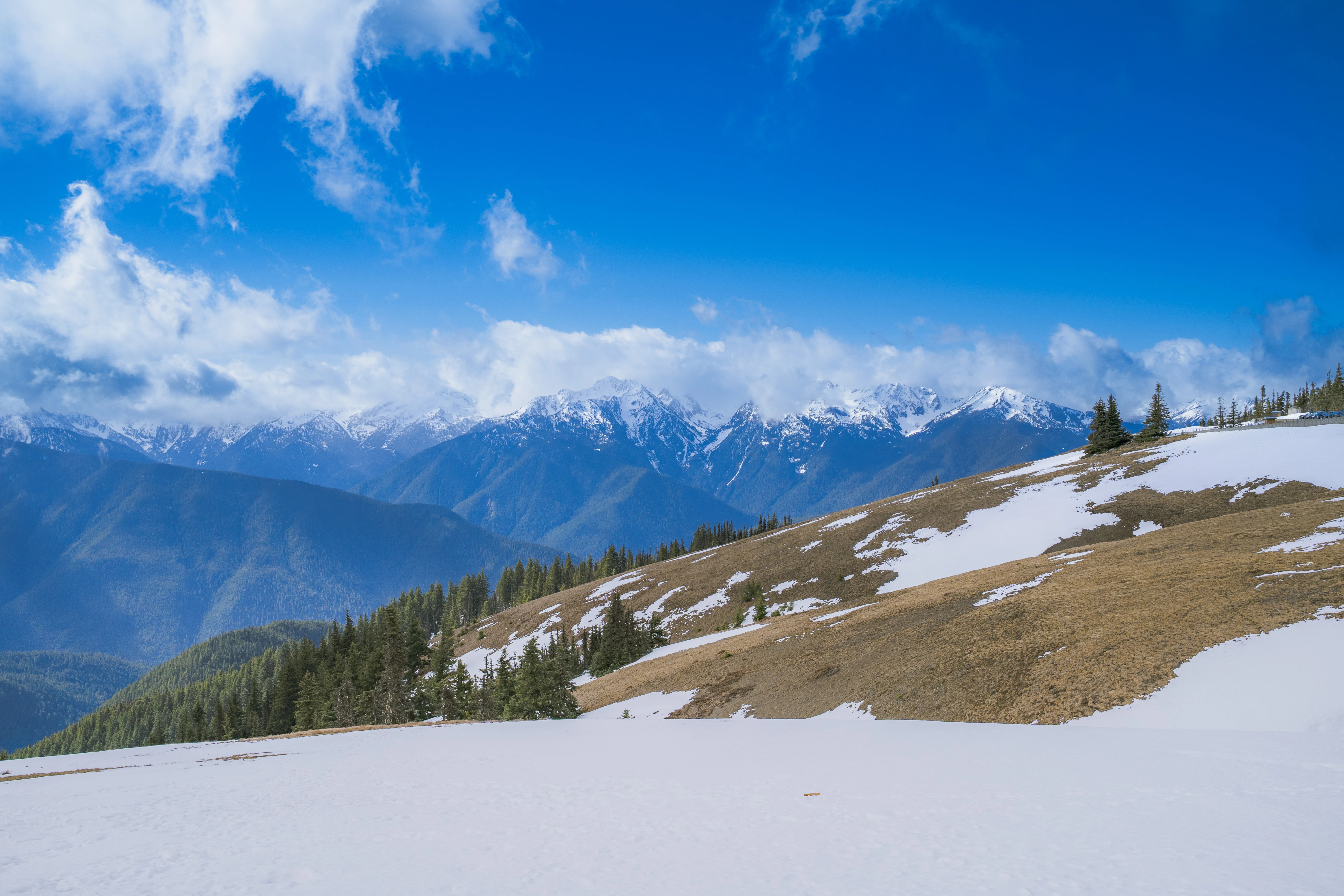 Snowmelt Patchwork Below the Olympic Peaks