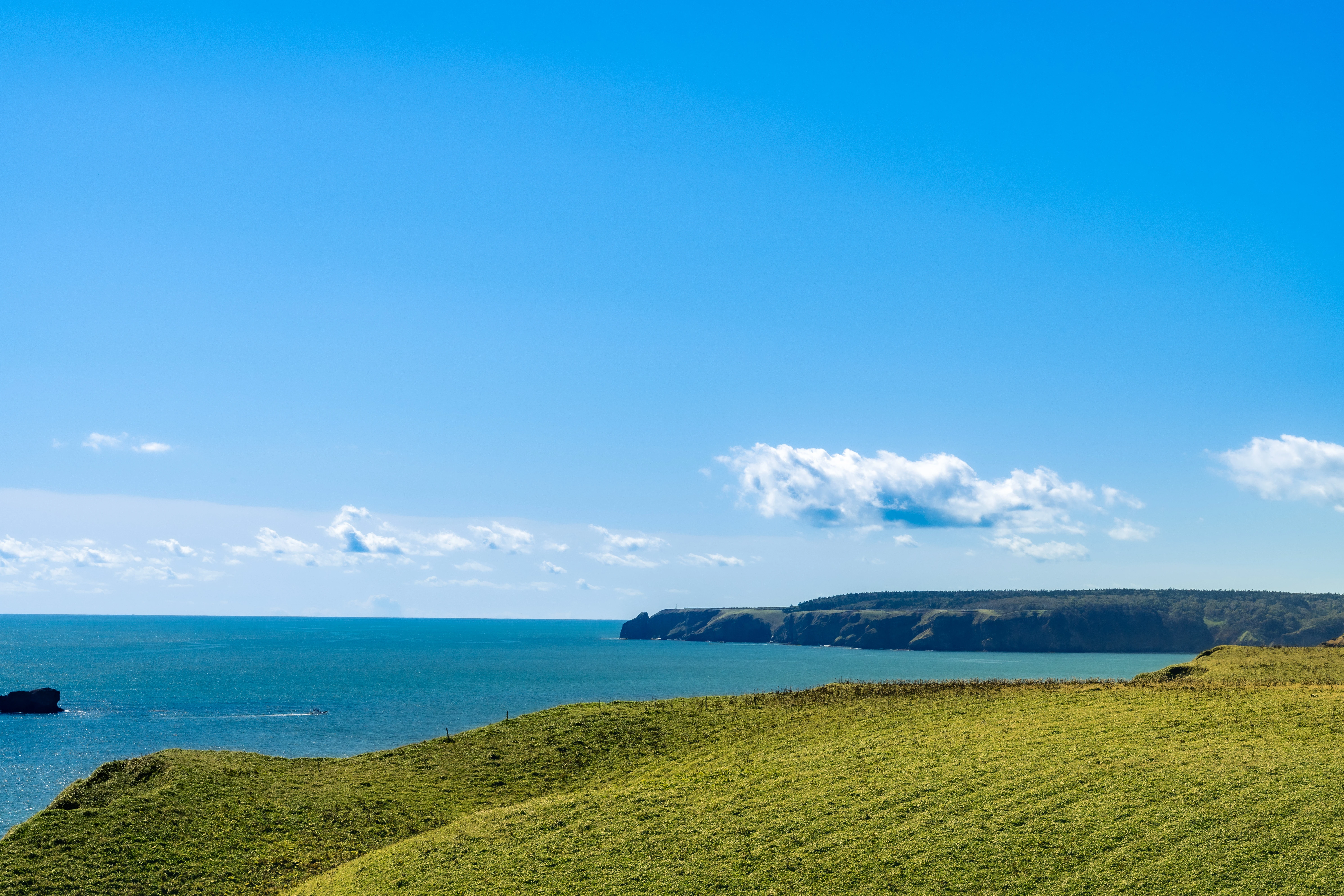Emerald Bluffs Above the Kiritappu Coast