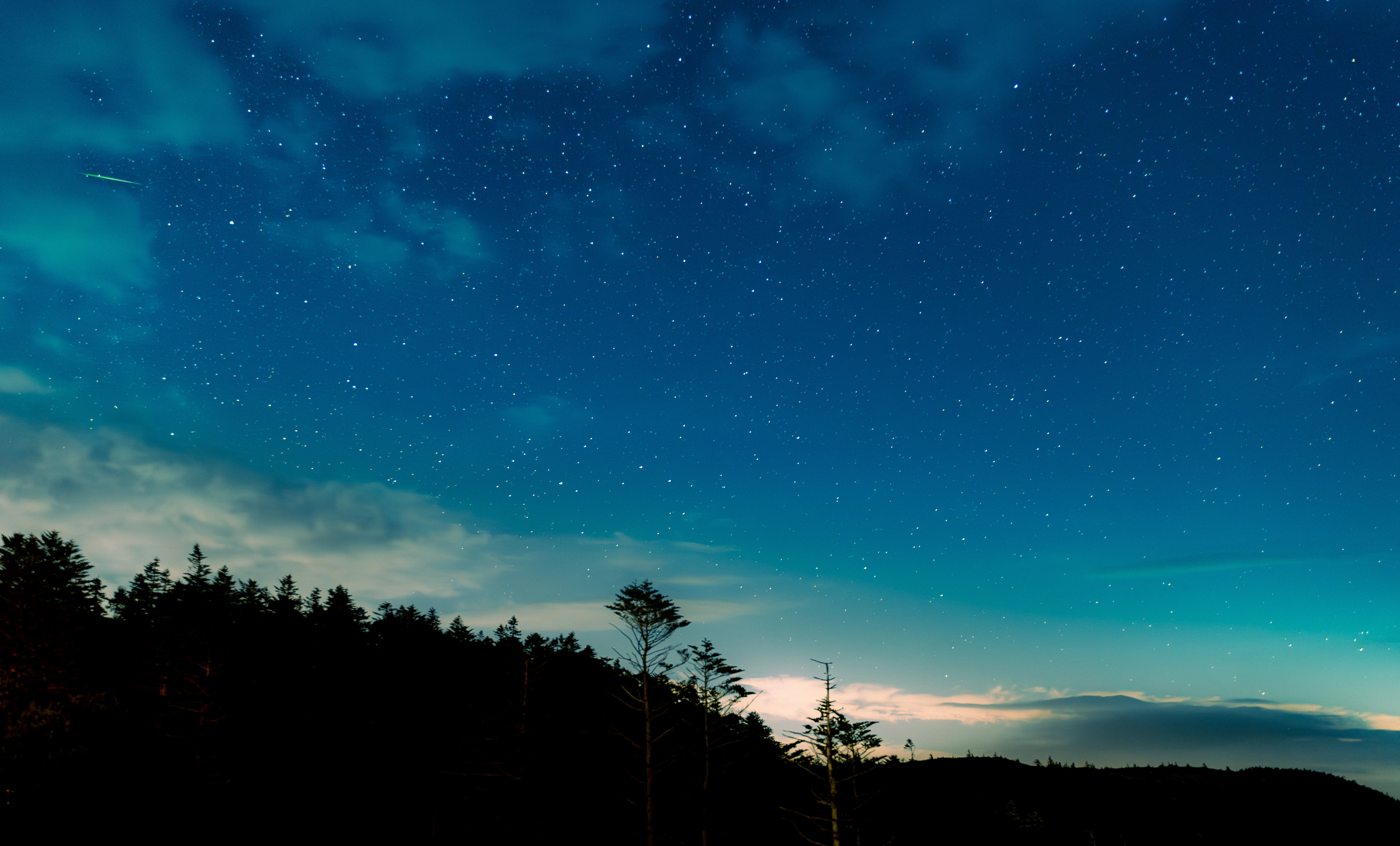 Starlit Sky Over a Calm Forest Horizon