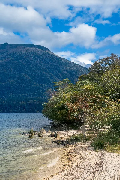 Where the Lake Meets the Autumn Shore