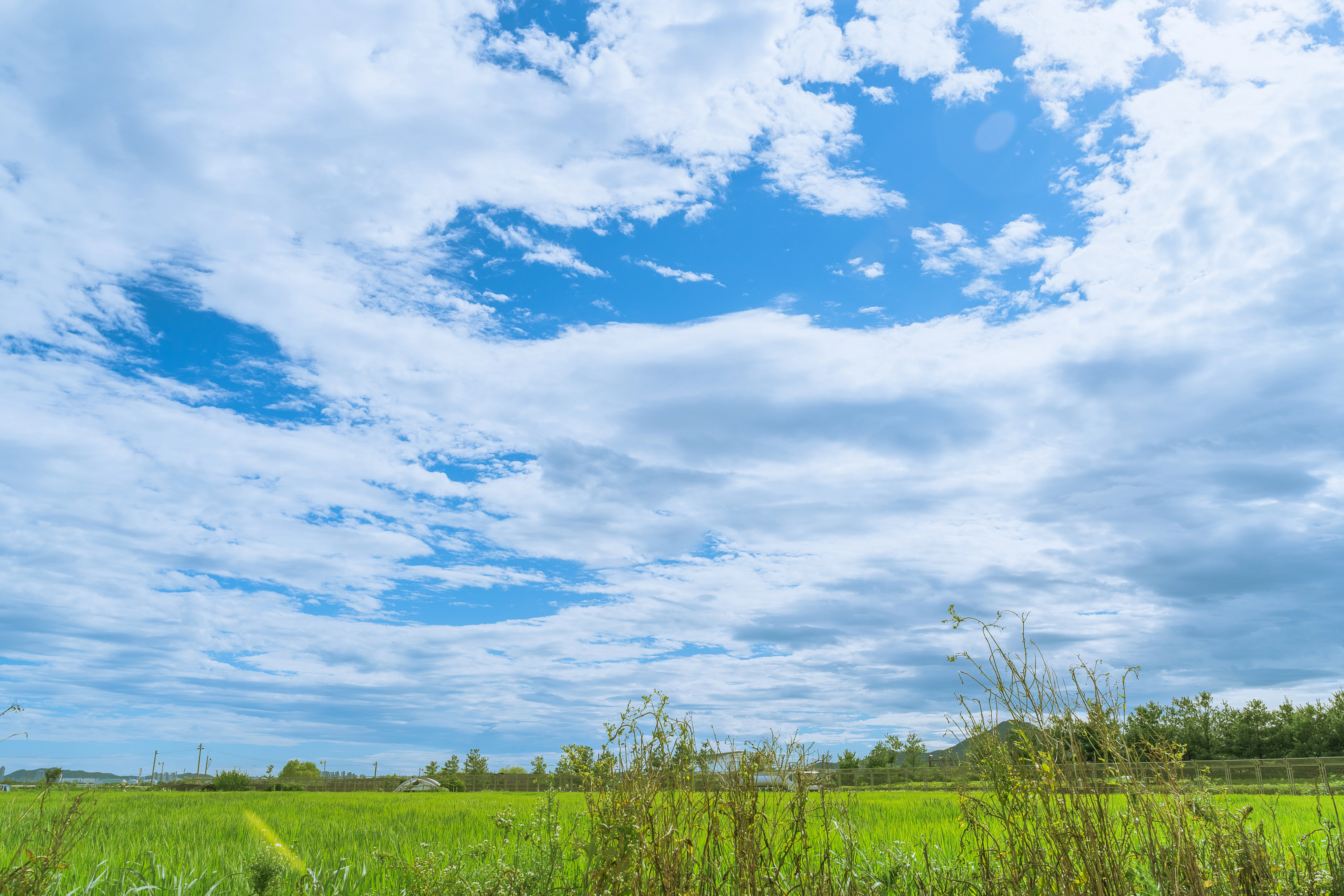 Tranquil Fields Under Vast Open Skies