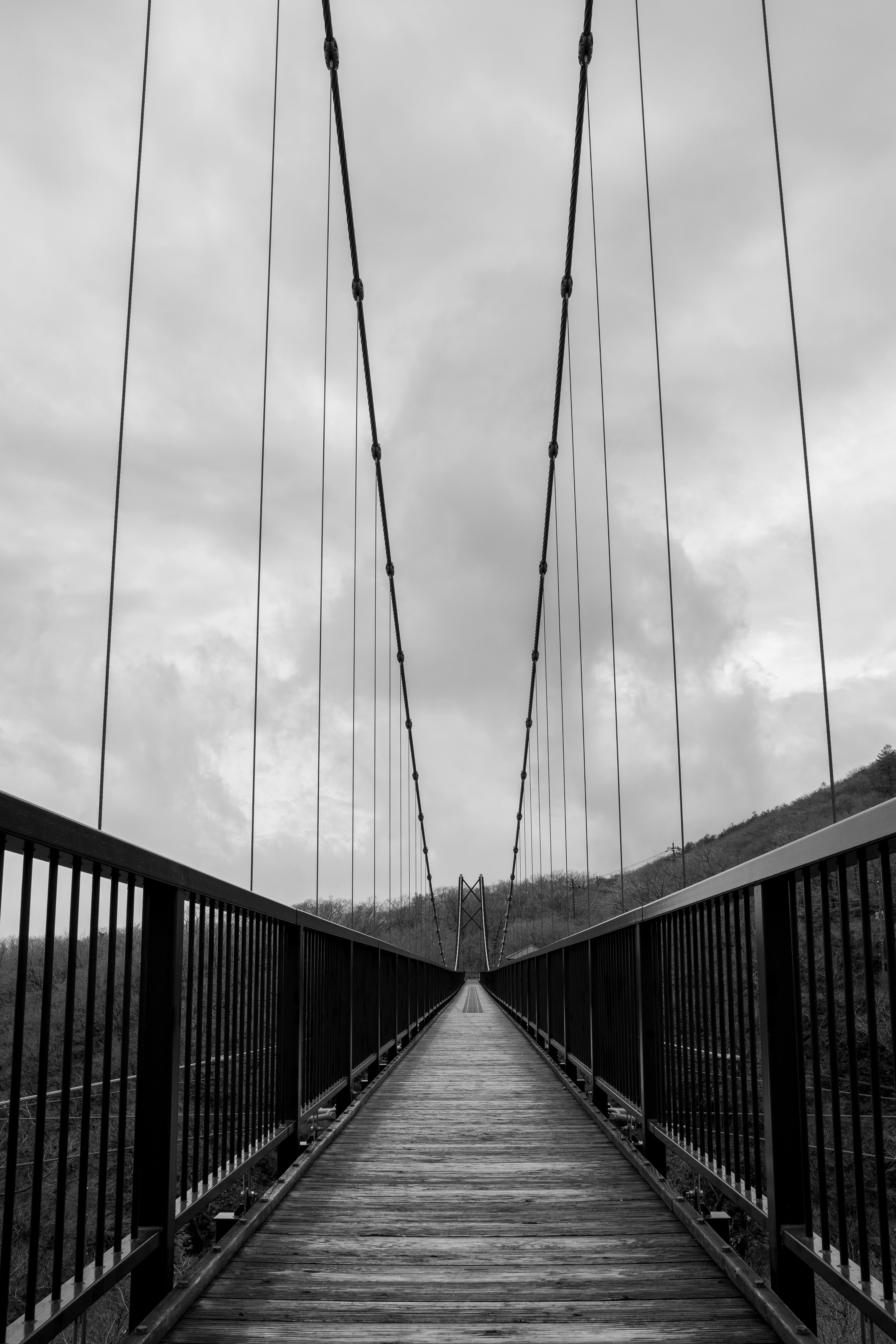 Monochrome Suspension Bridge Under an Overcast Sky