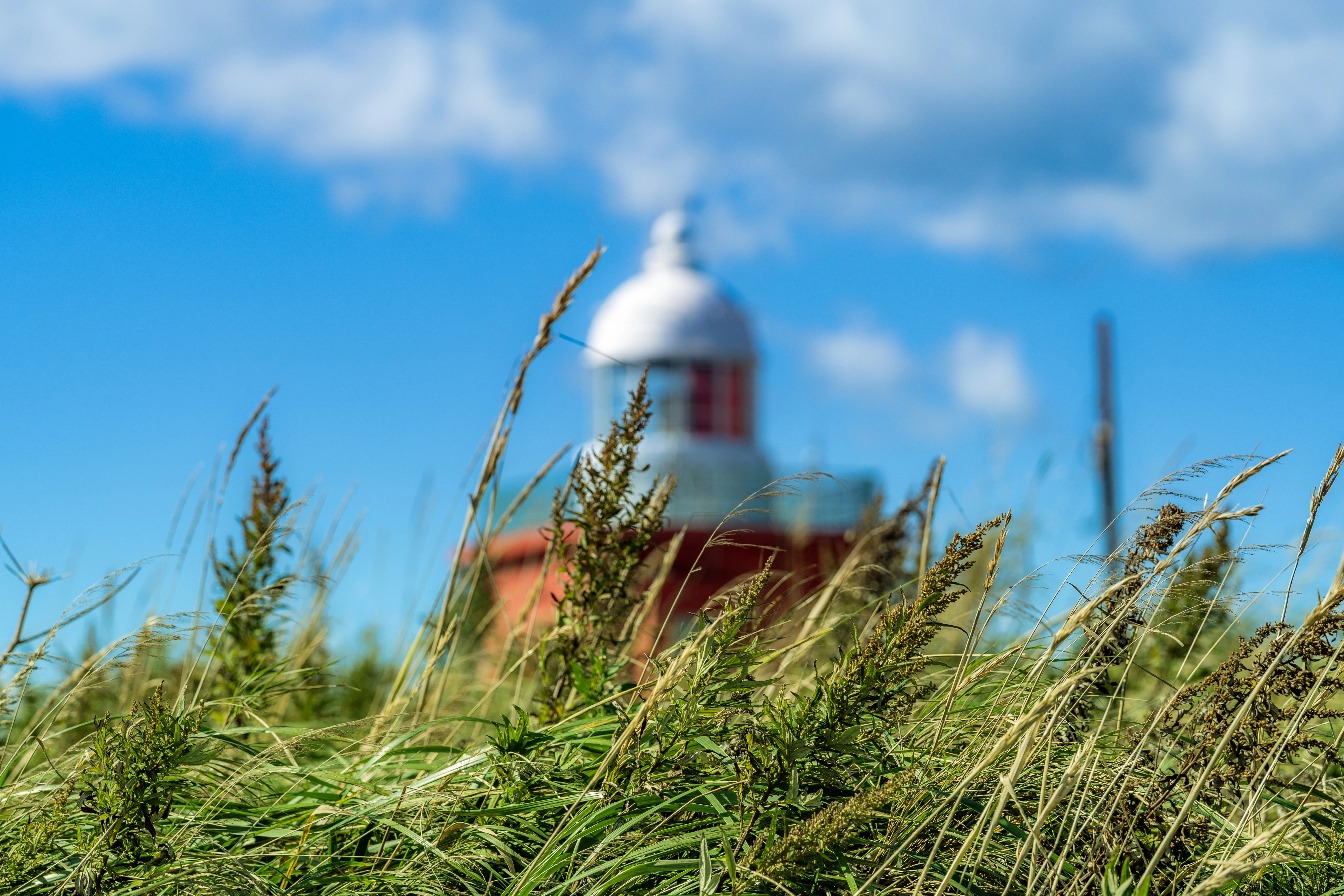 Through the Windswept Grass to Kiritappu Light