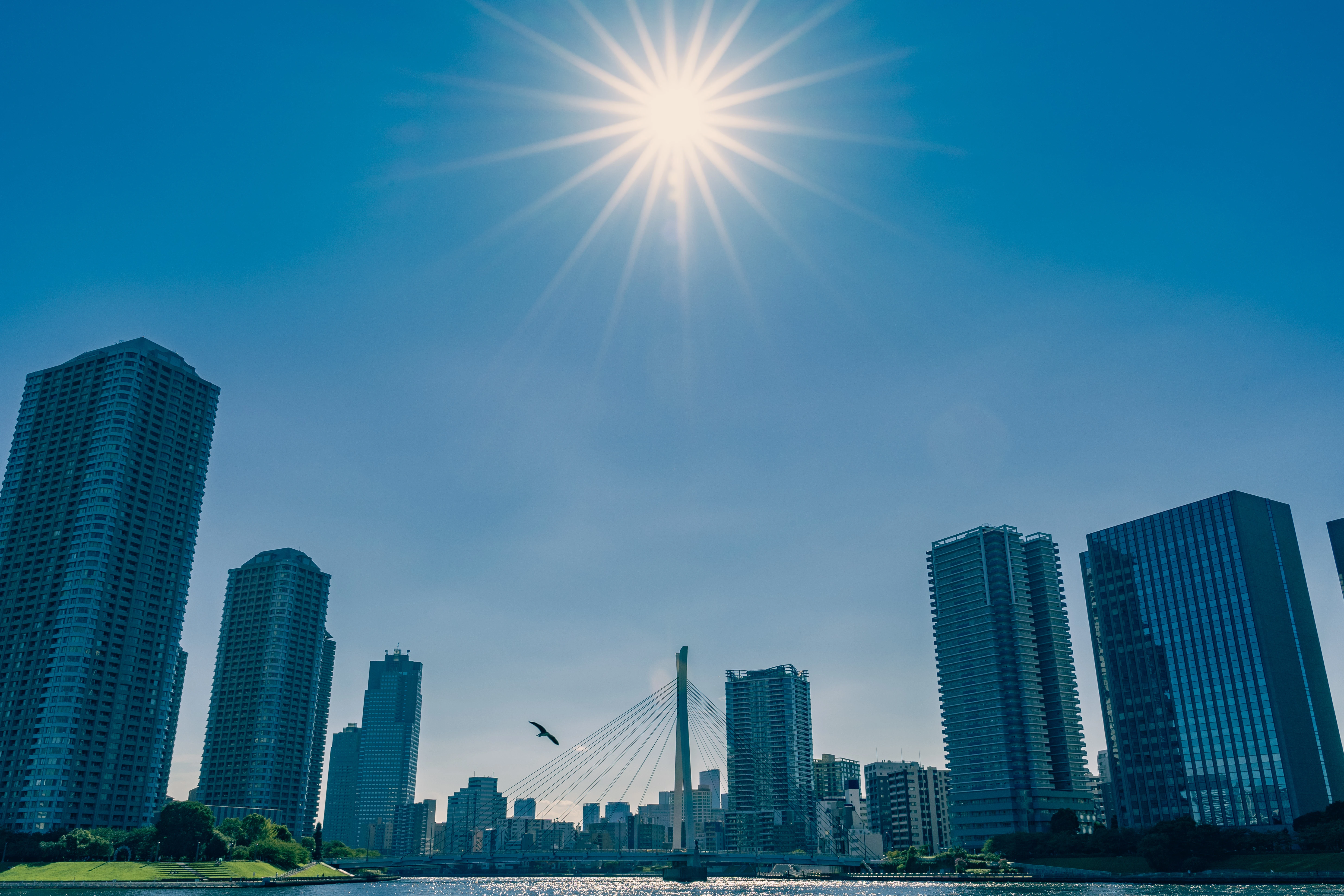 Urban Skyline Under the Radiant Sun
