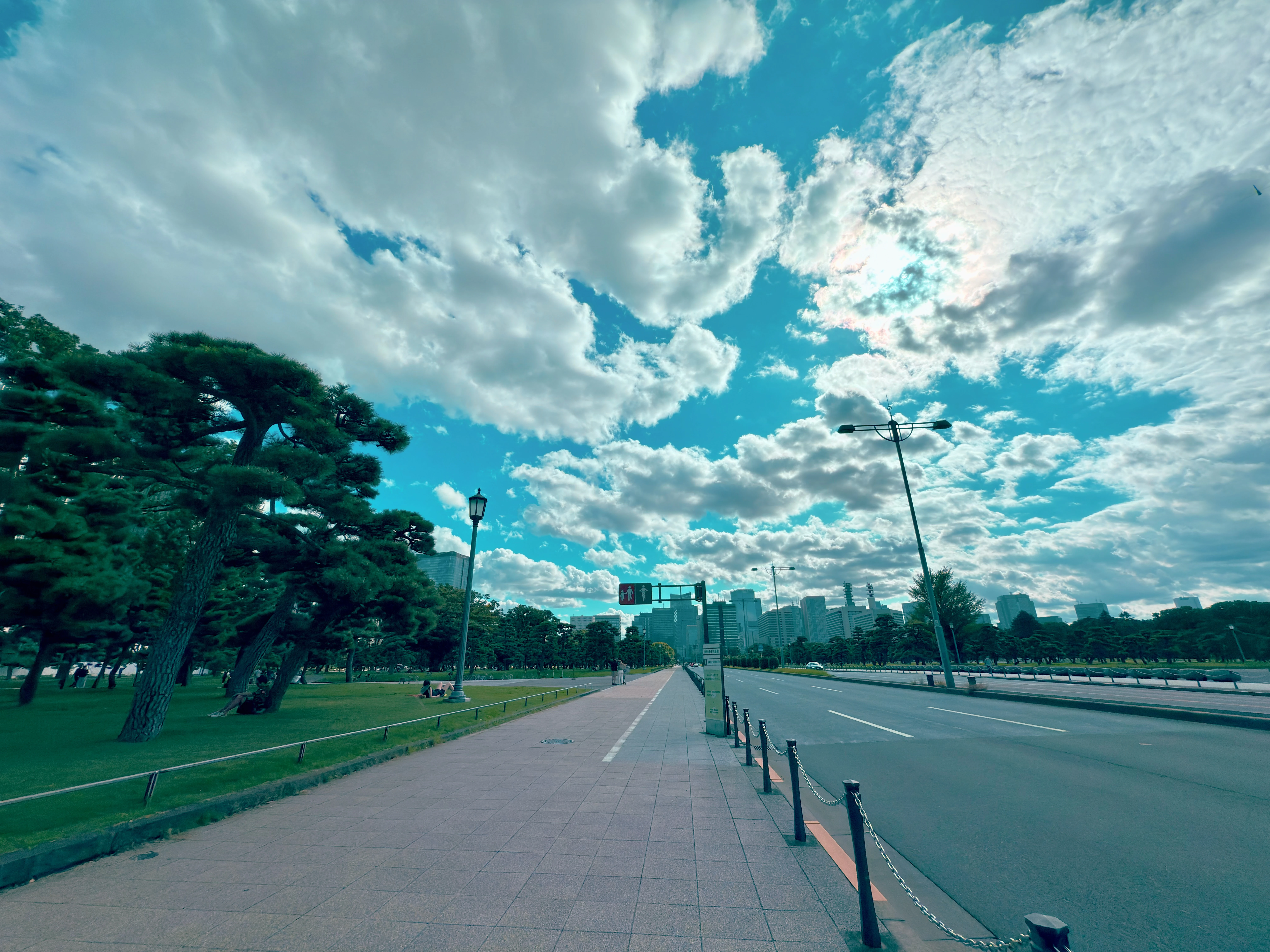 Tranquil Street Under a Vibrant Sky by Urban Greenery
