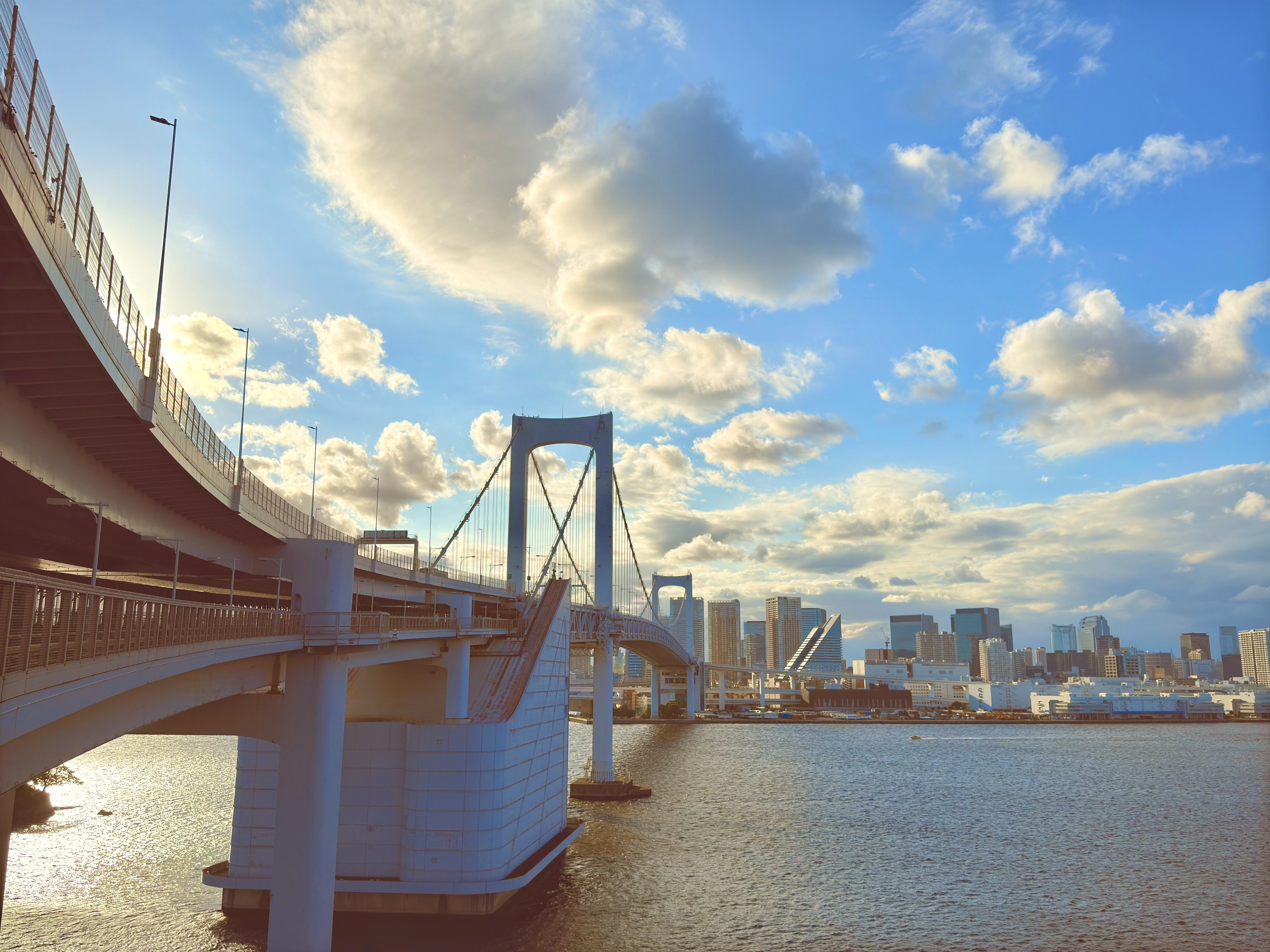 Expansive Urban View from a Modern Suspension Bridge
