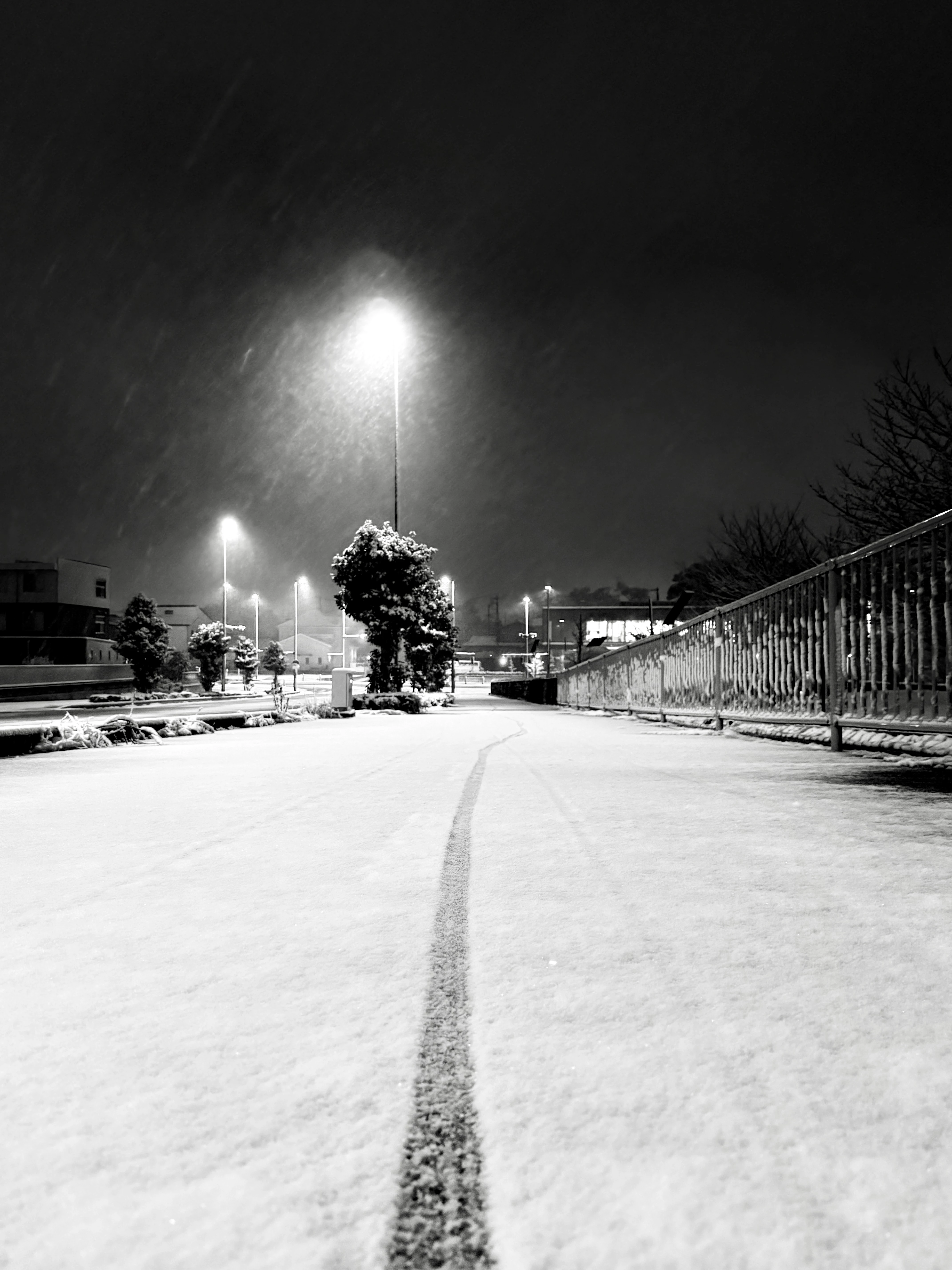 Silent Nighttime Snowfall on an Empty Street