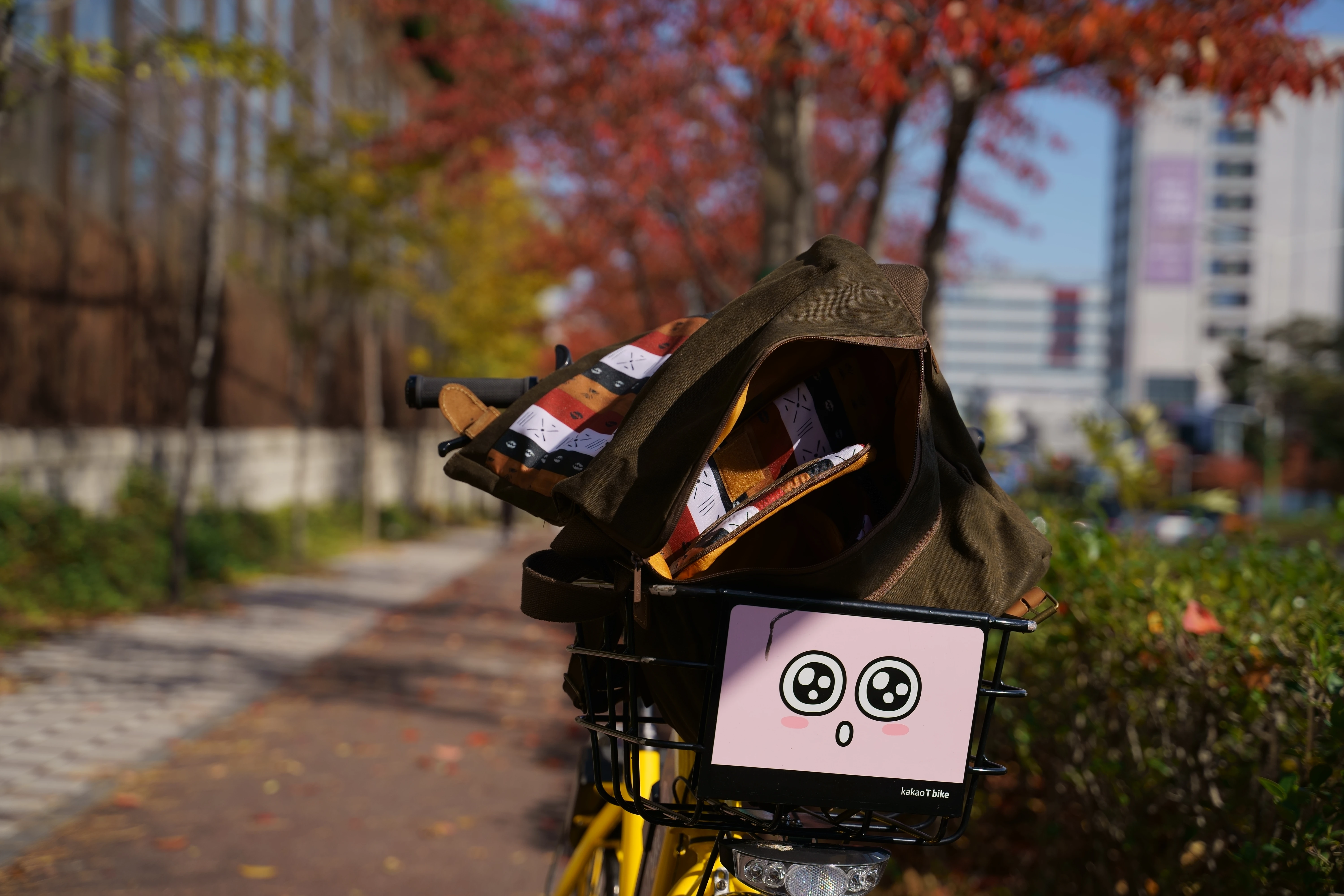 Autumn Bike Adventure with a Quirky Basket