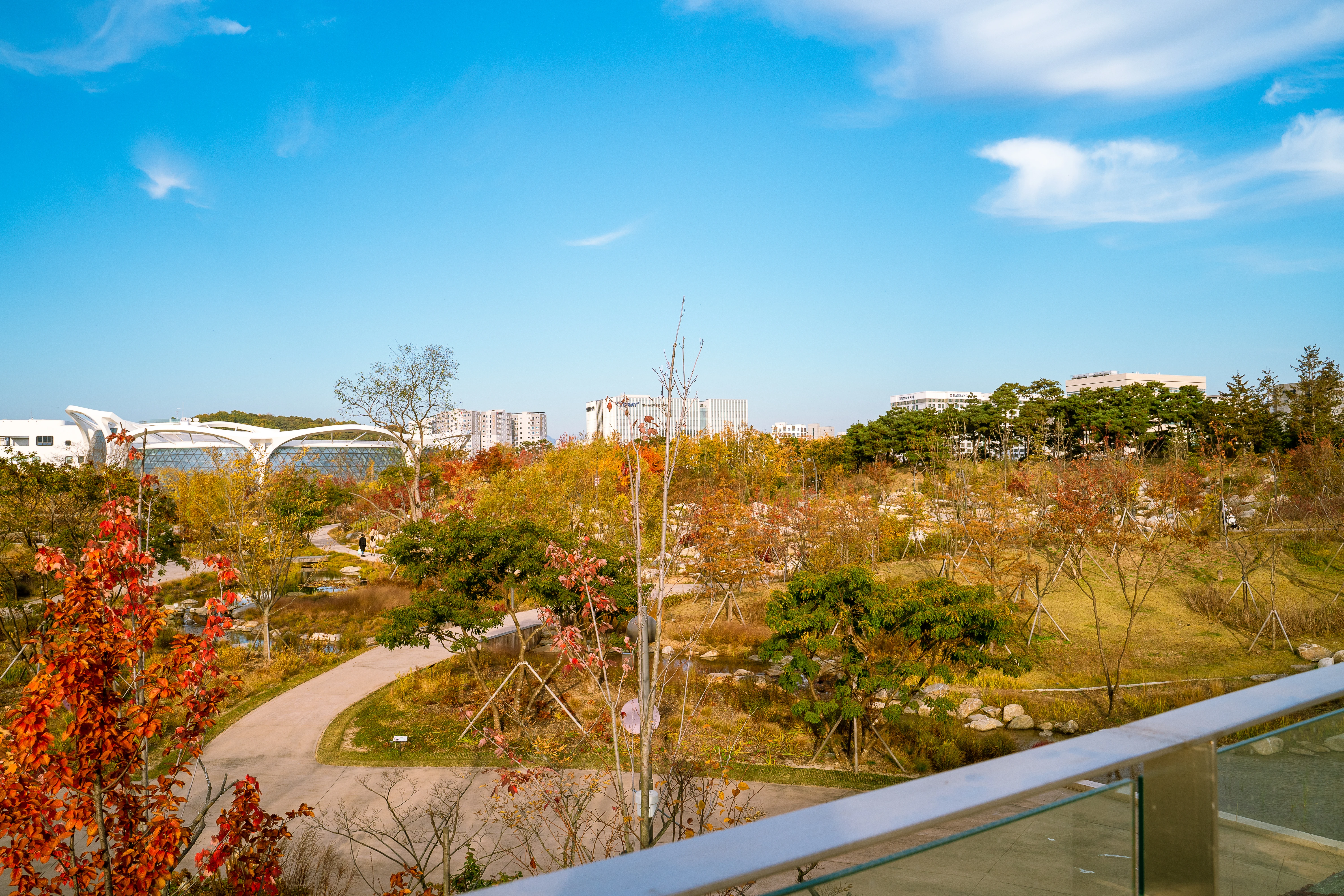 Vibrant Autumn Colors in a Modern City Park