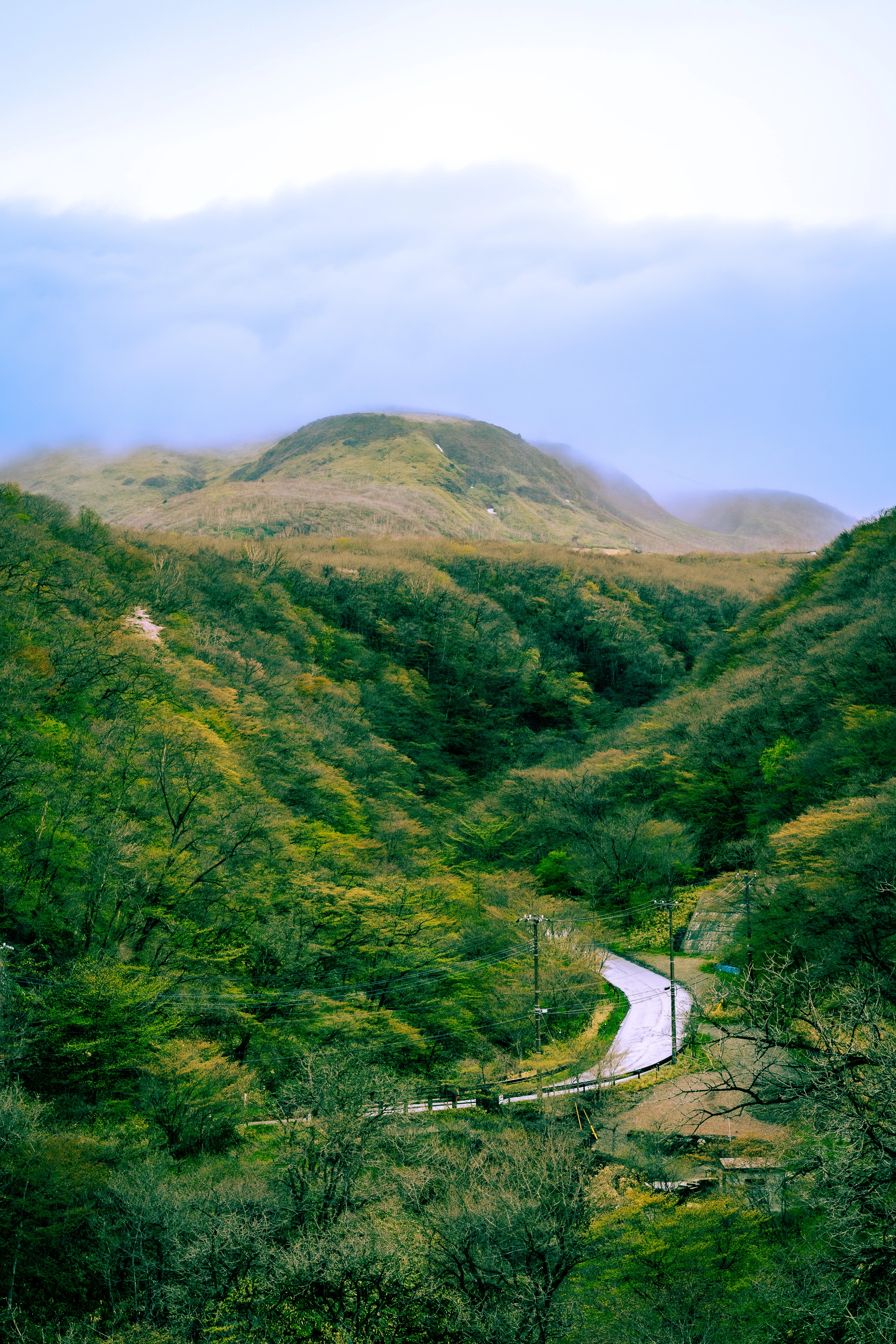 Misty Road Winding Through Enchanting Hills