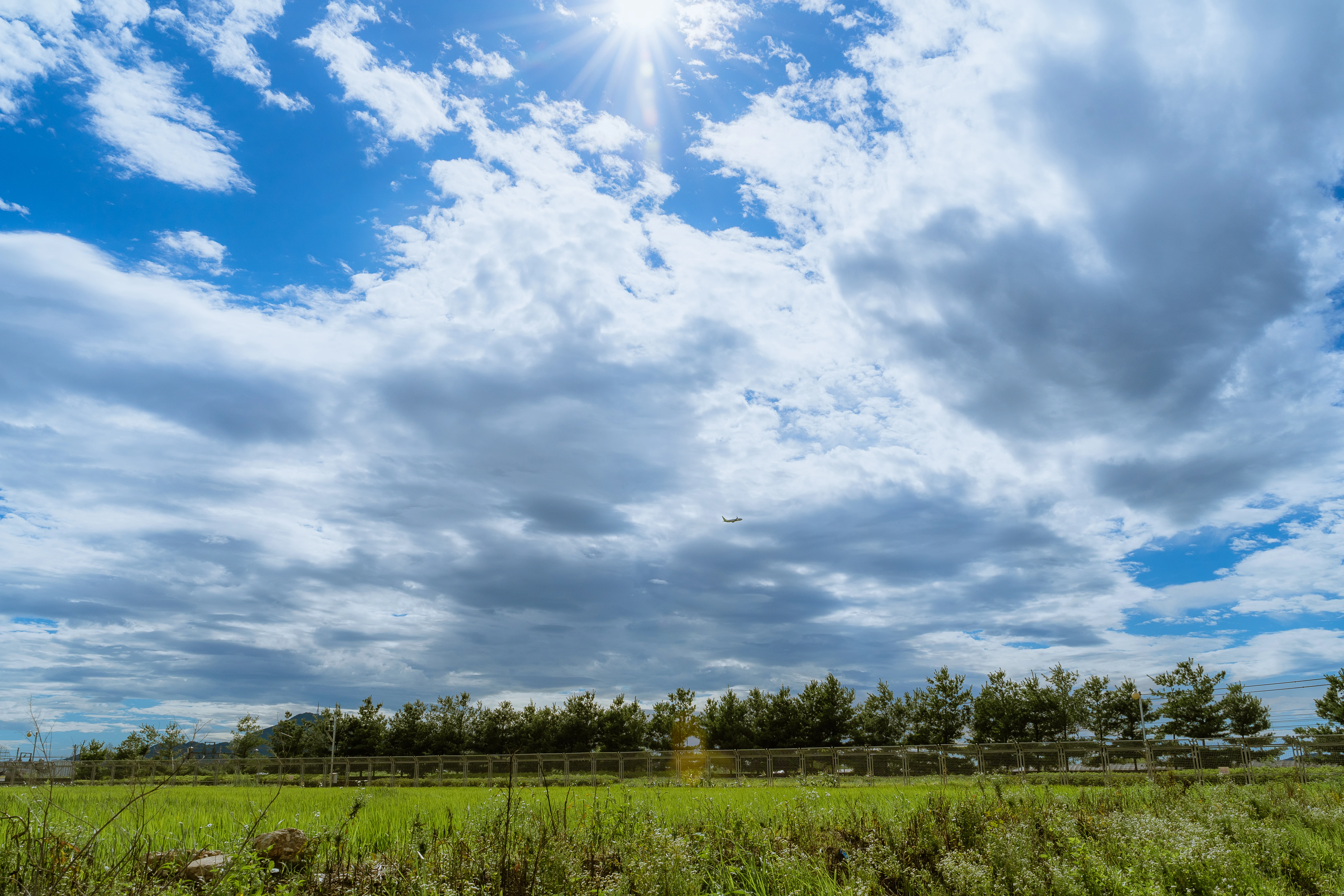 Lush Field beneath Expansive Blue Skies and Dramatic Clouds