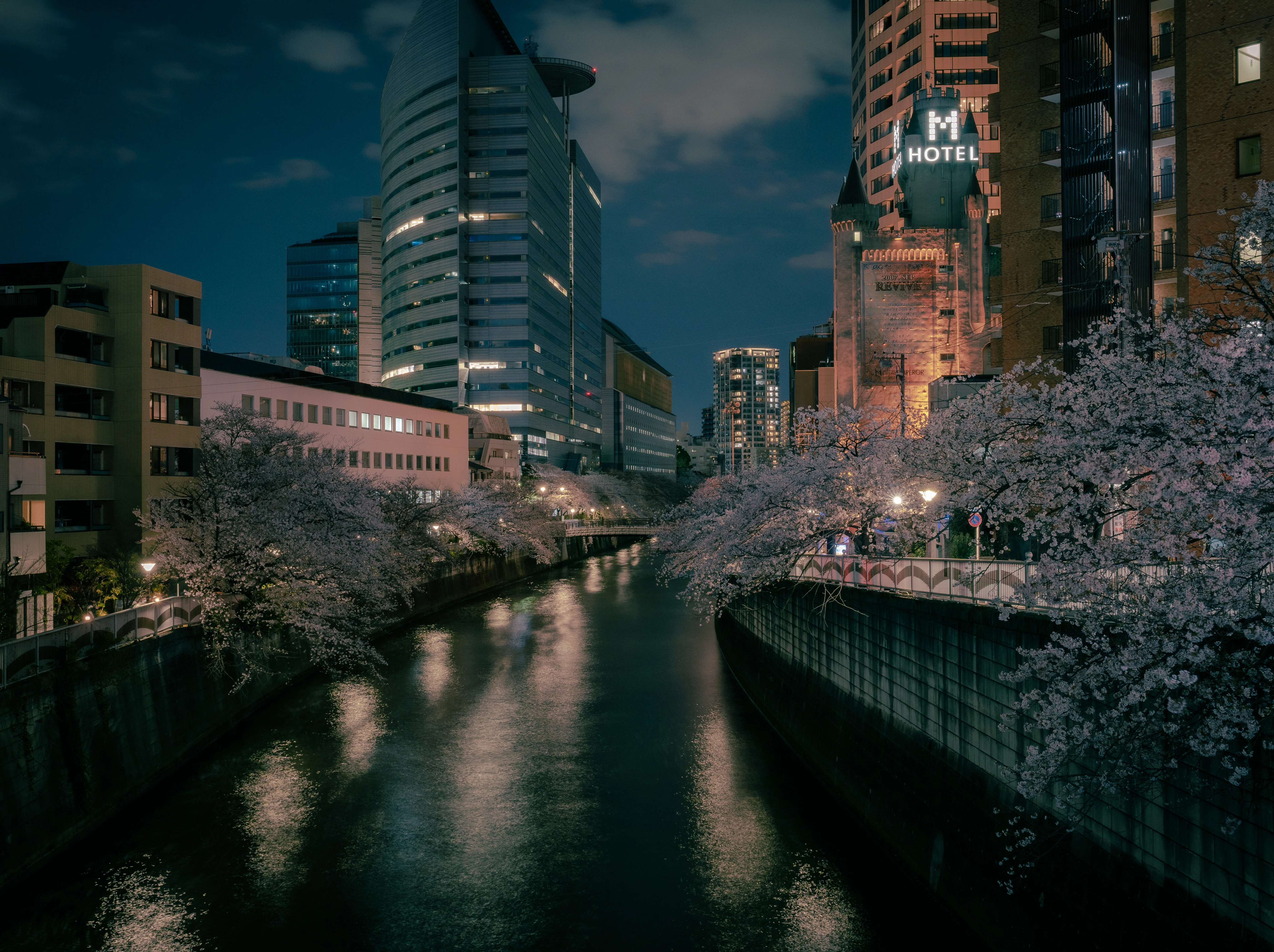 Nighttime Sakura Reflections Along an Urban Canal