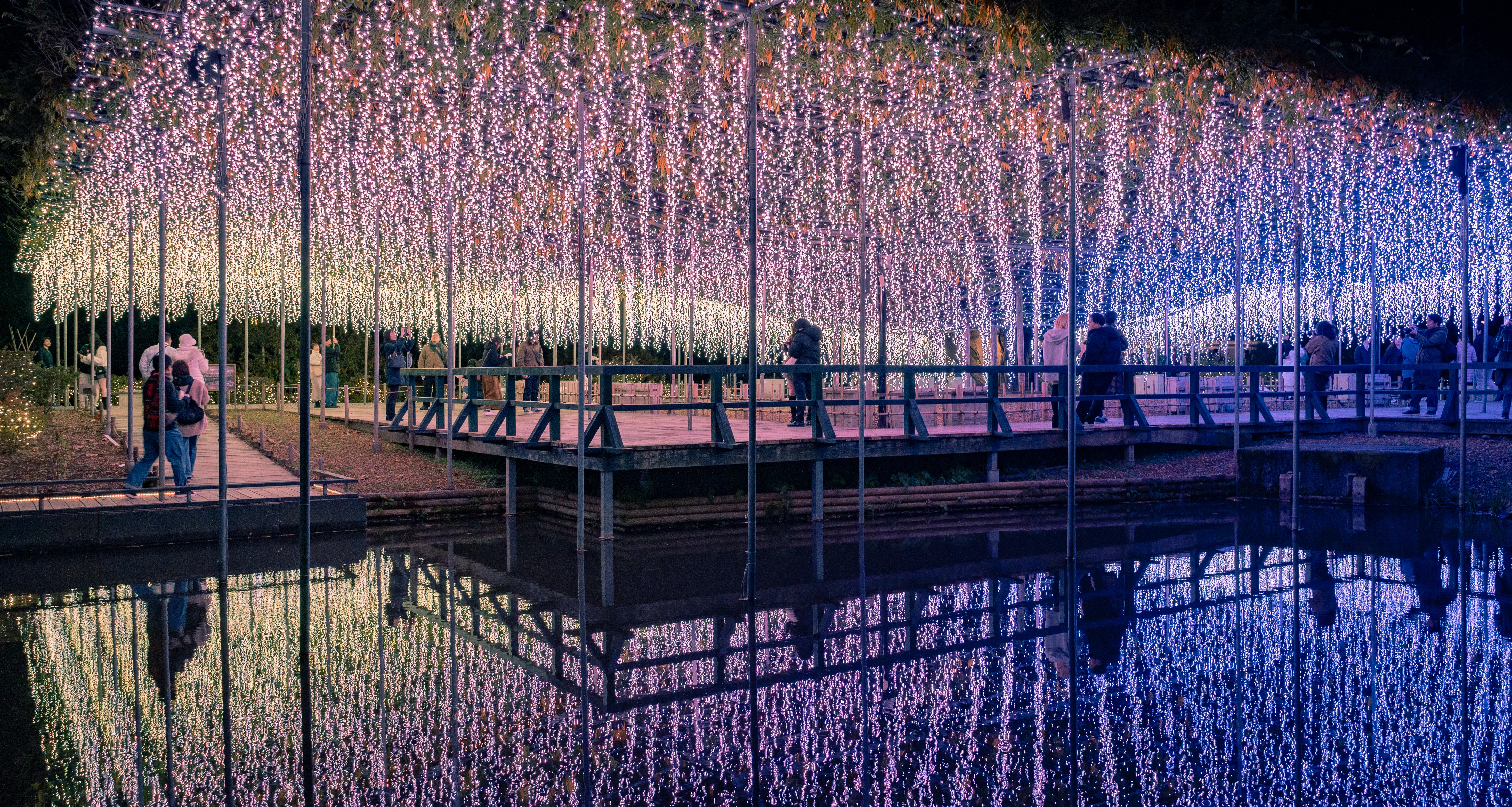 Enchanted Light Illumination Over Serene Pond