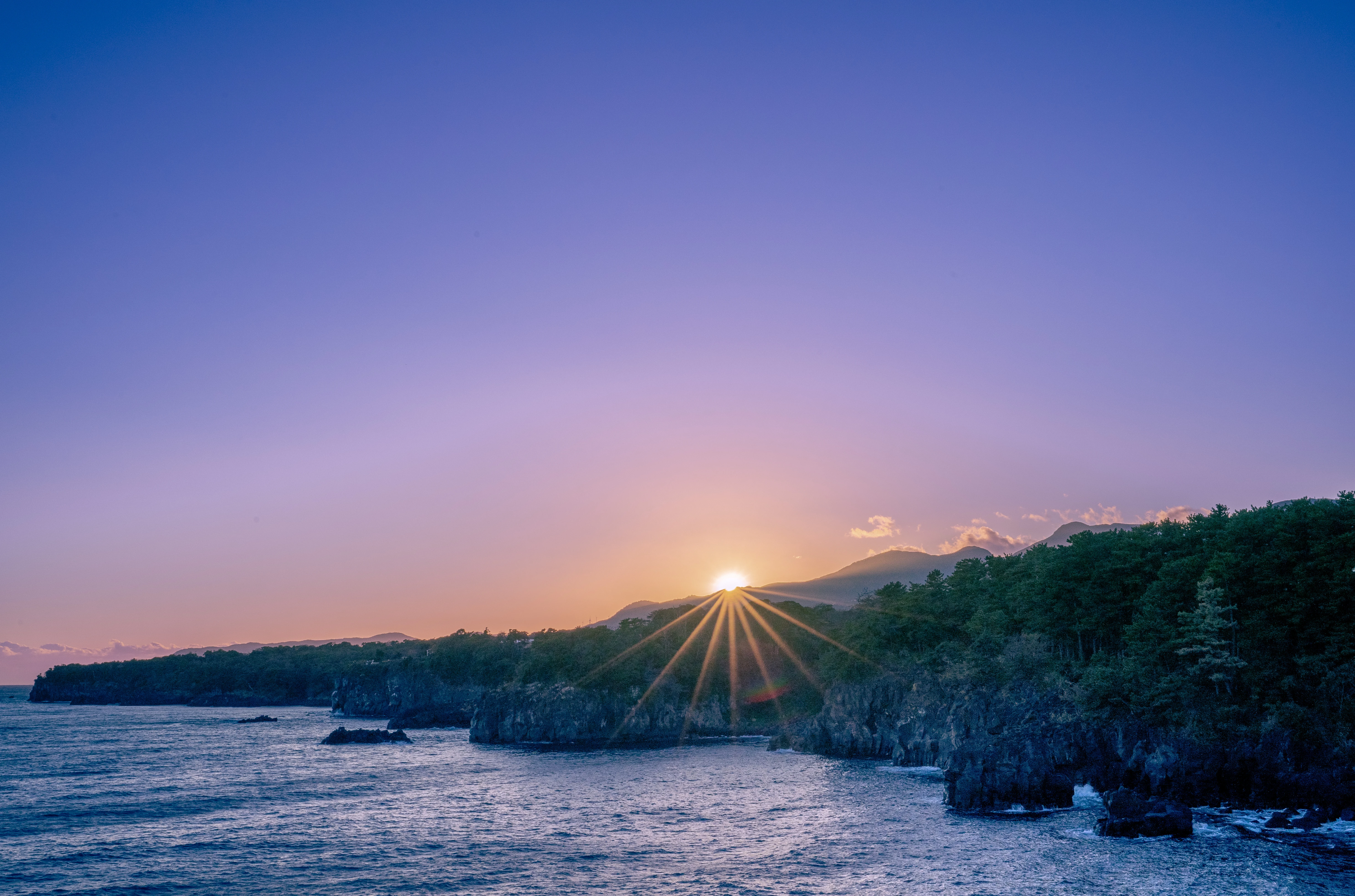 Winter Sunset Starburst Over Pine-Clad Coastal Cliffs