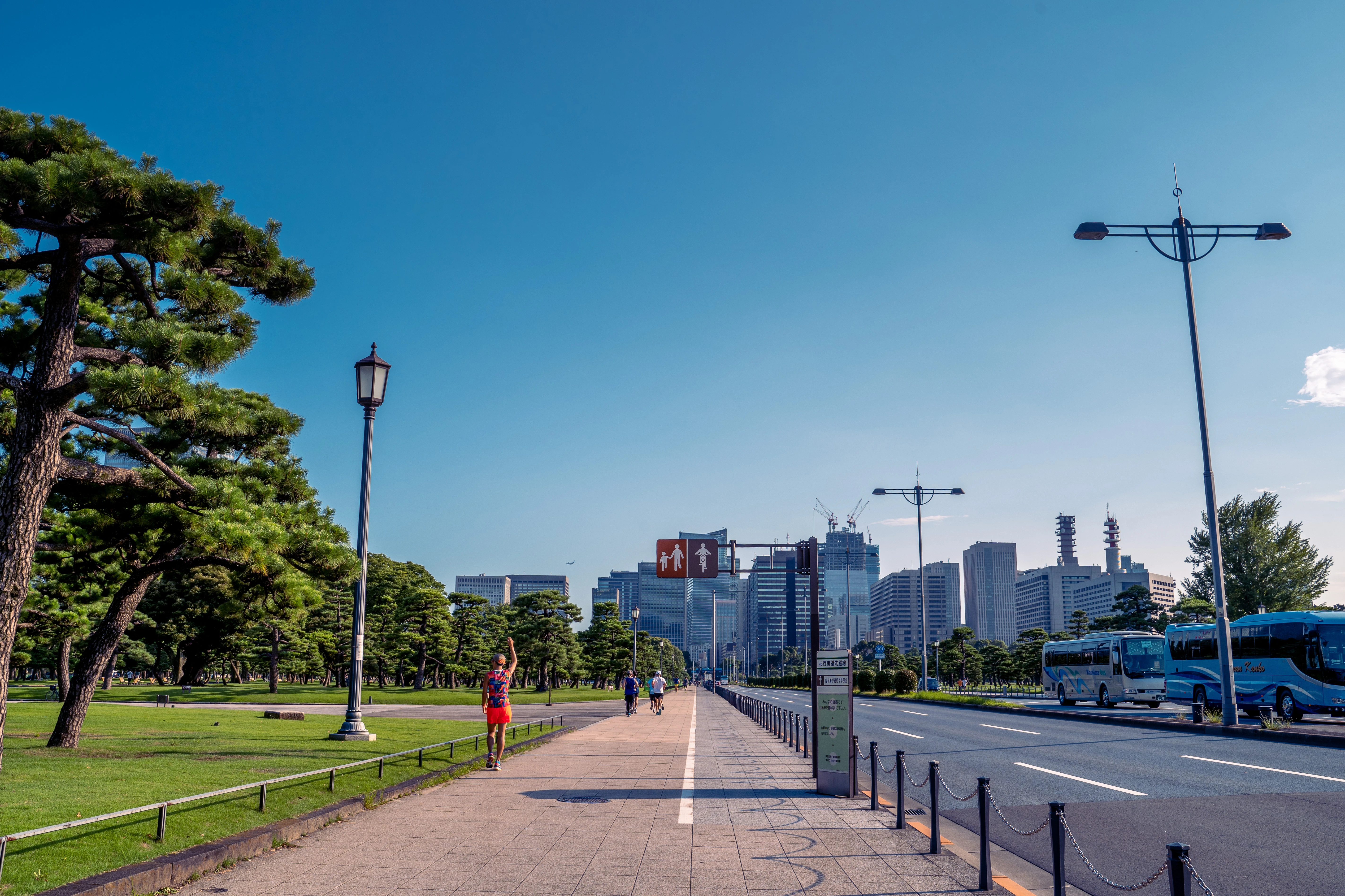 Tokyo's Urban Streetline Amid Verdant Parkland