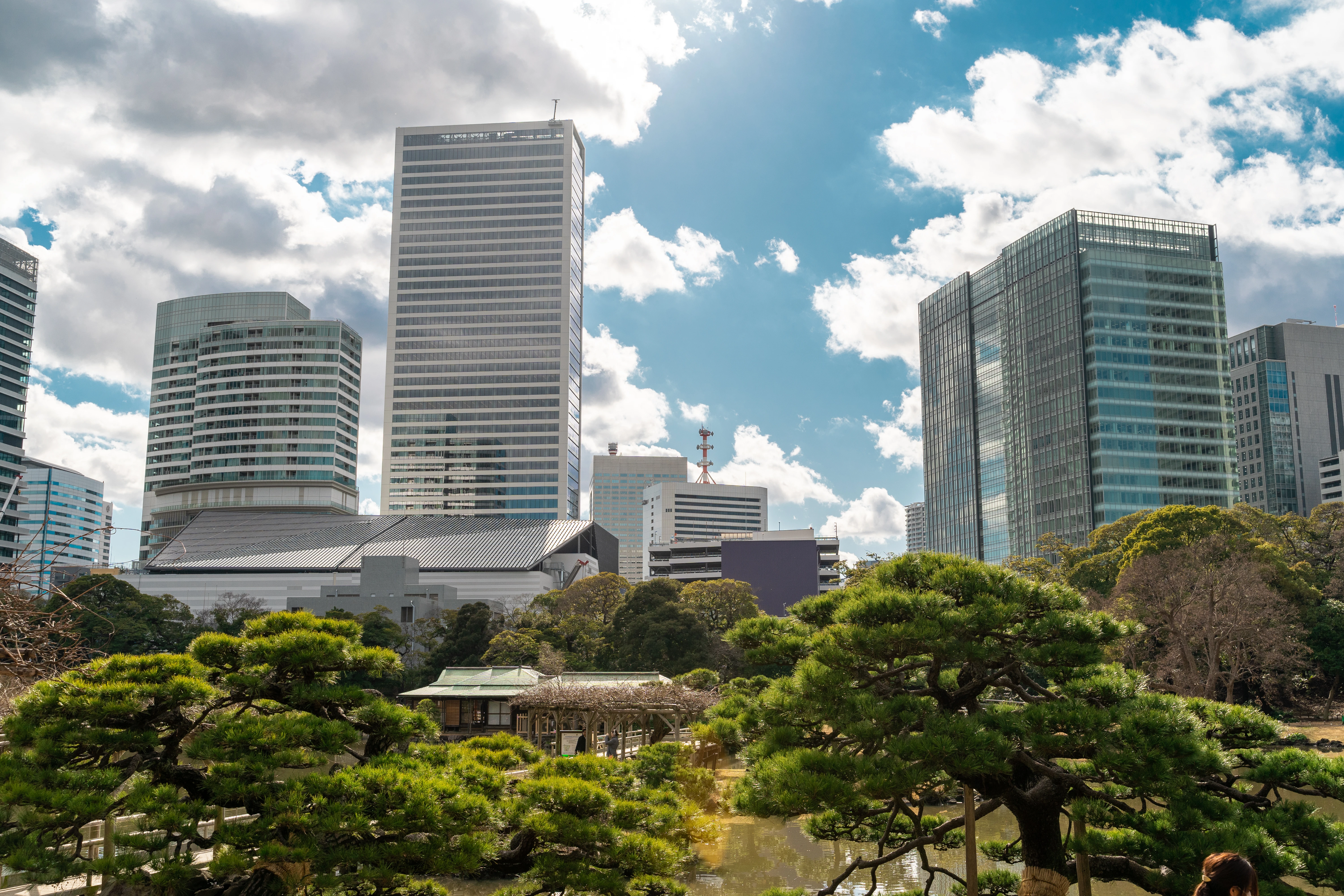 Modern Skyline Overlooking Tranquil Japanese Garden