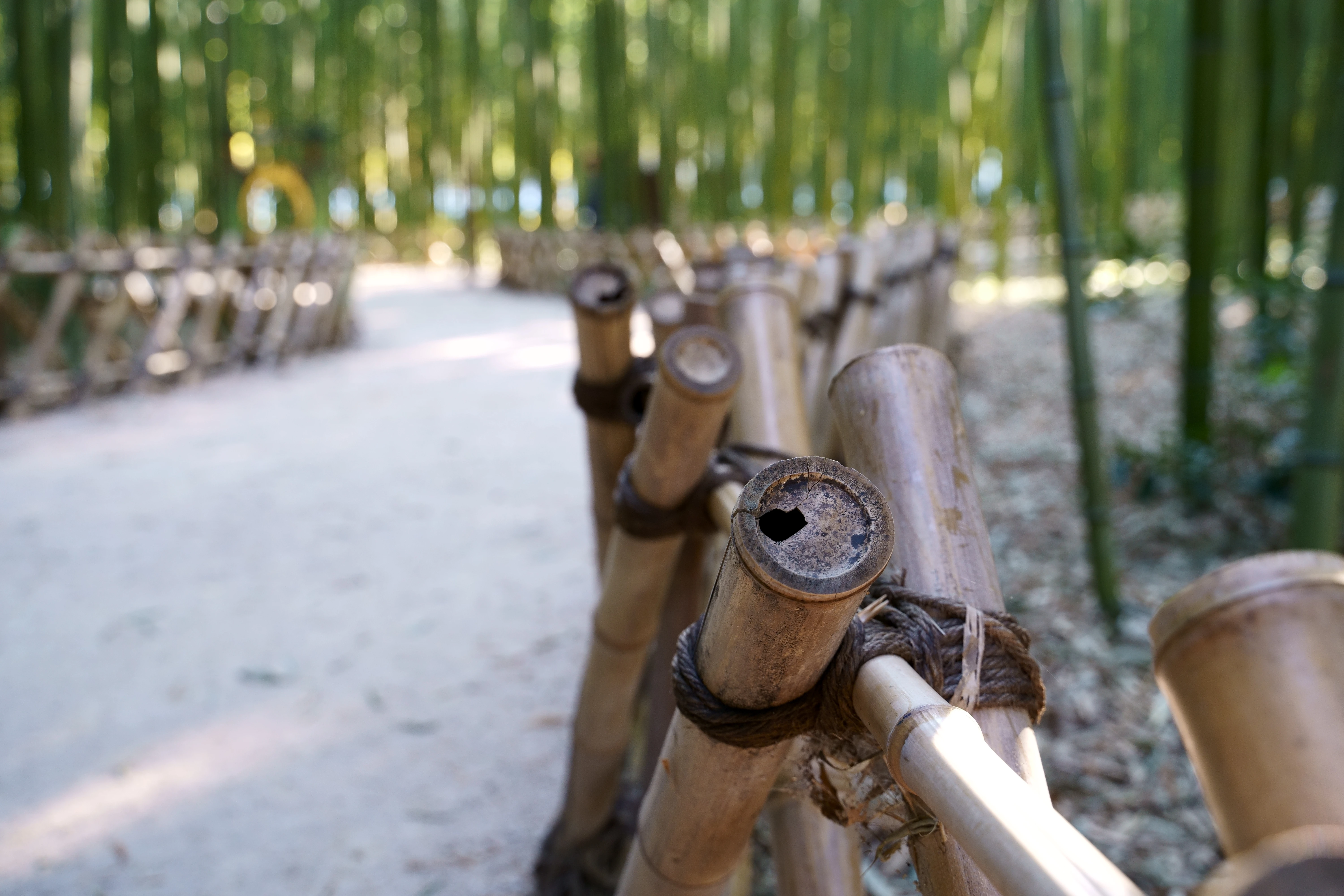 Rustic Bamboo Pathway in a Serene Green Forest