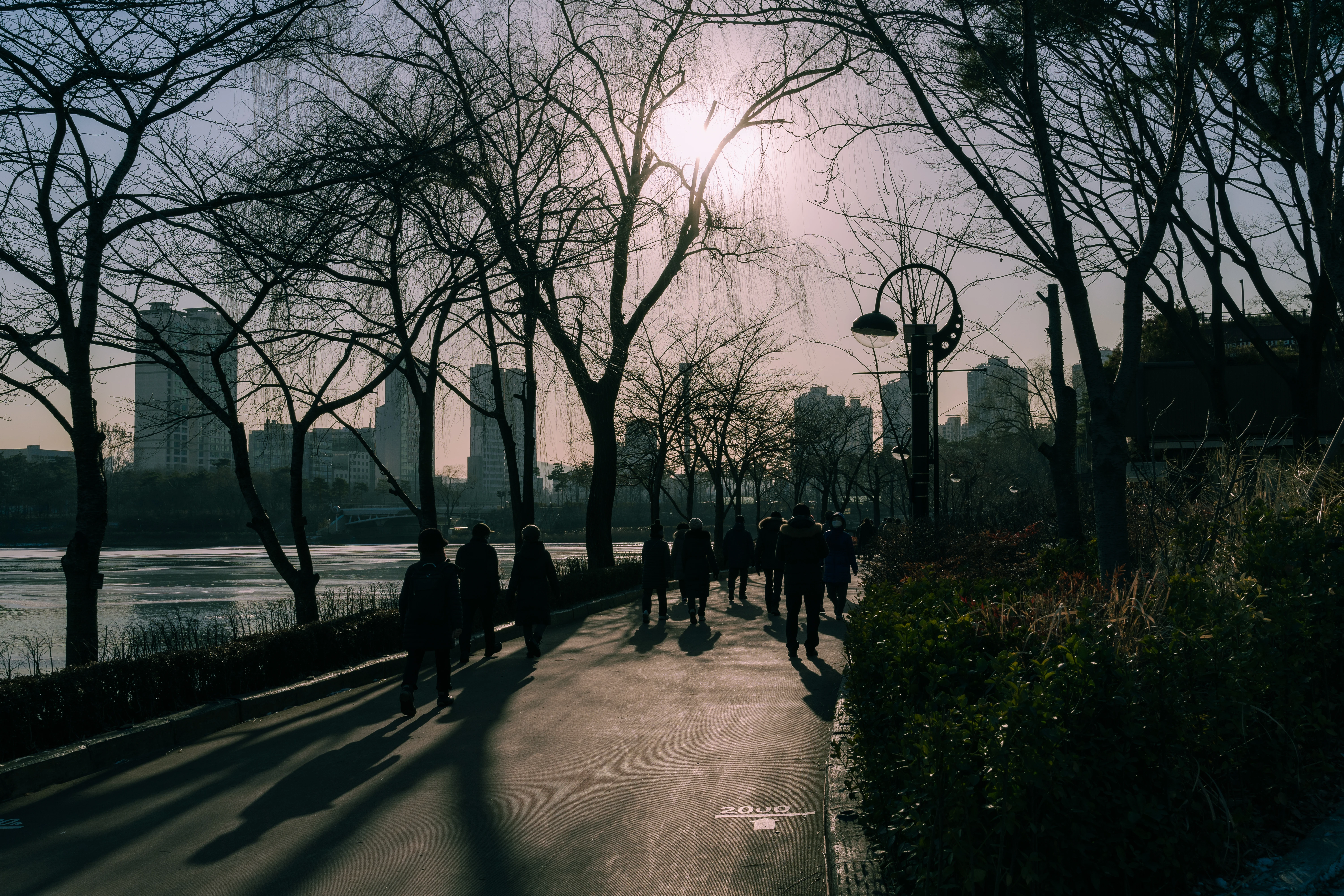 Winter Walk Along the Riverfront at Dusk