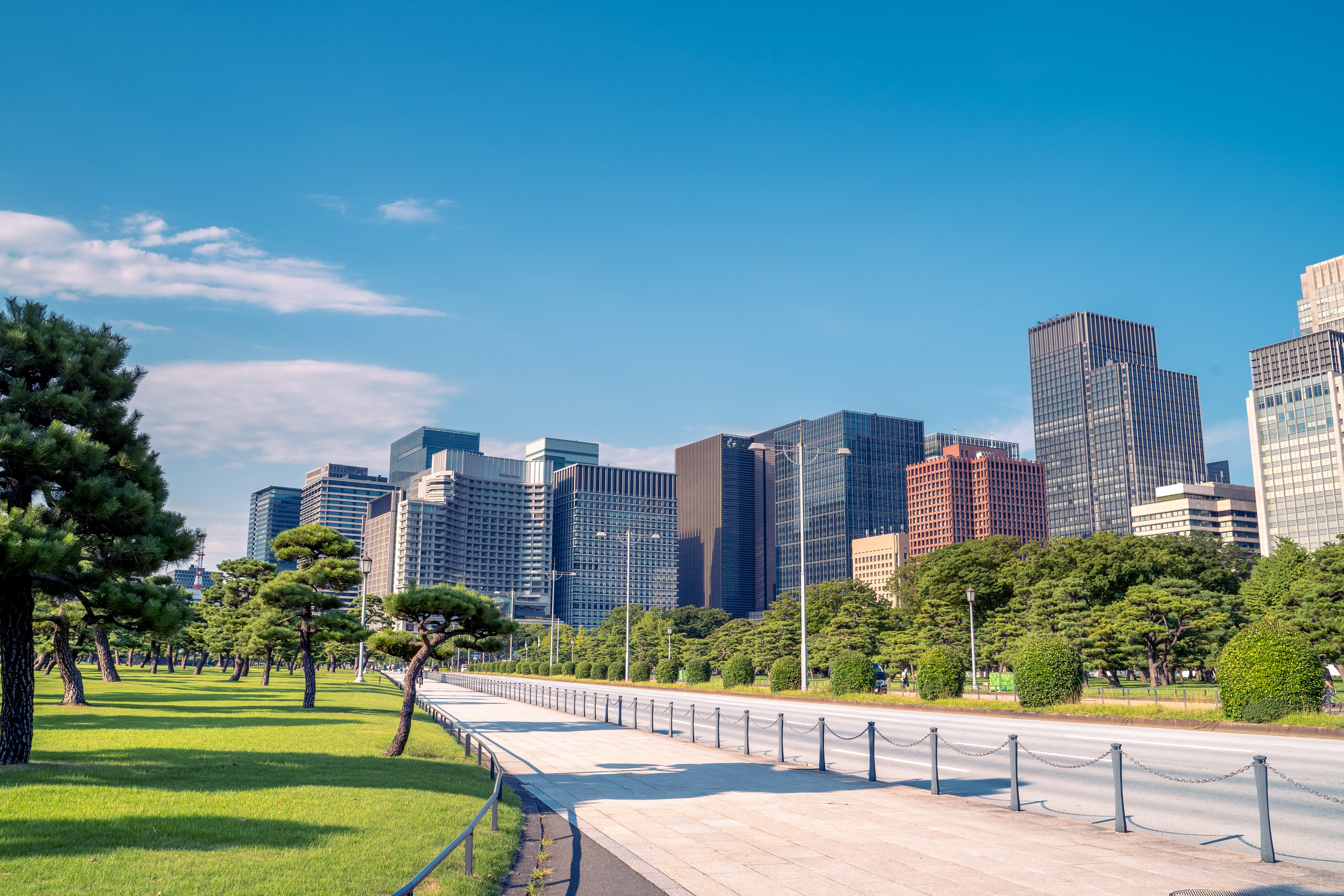Modern Skyline Meets Tranquil Greenery in Tokyo