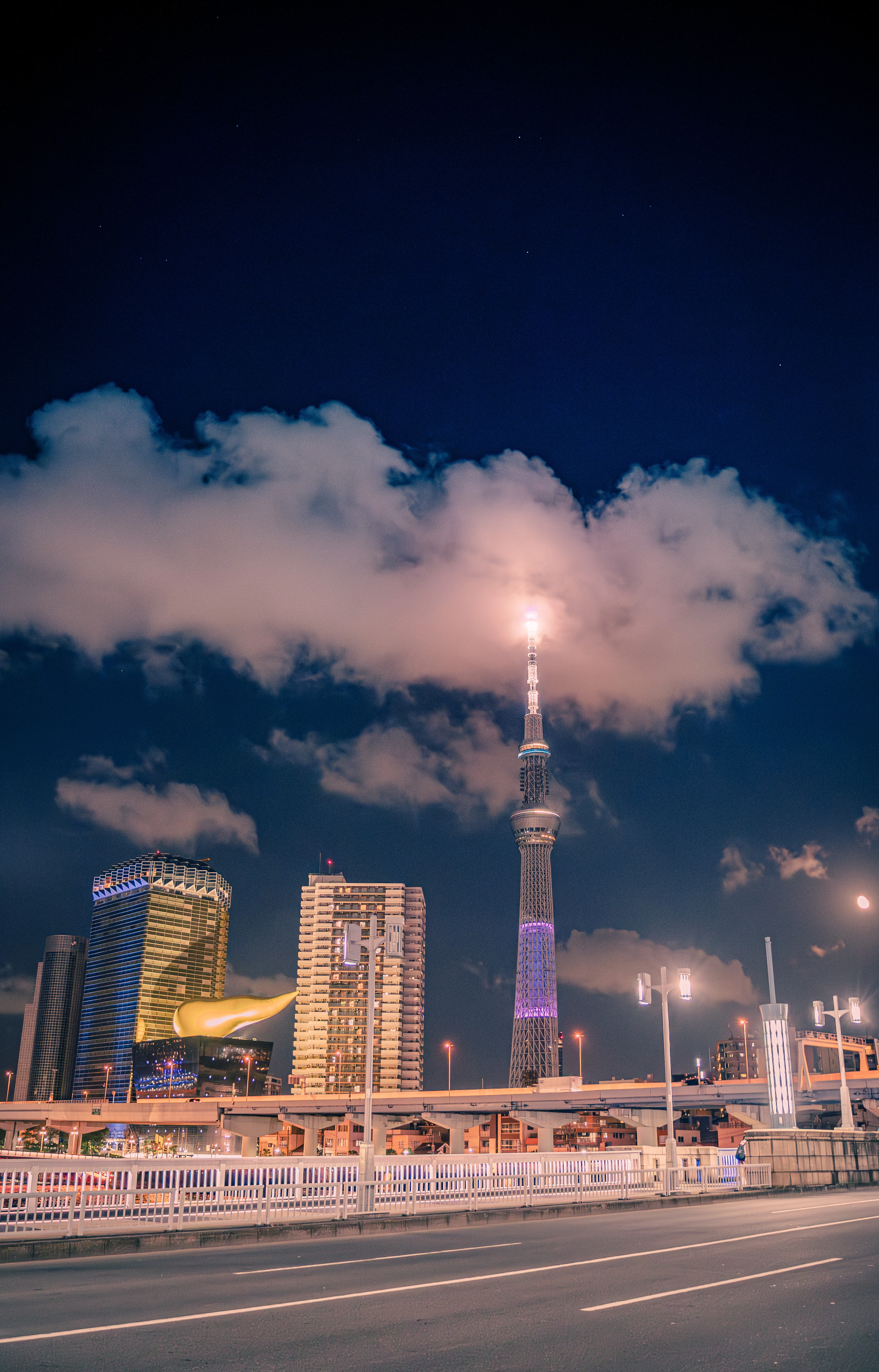 Tokyo Skytree Illuminated Against the Night Sky