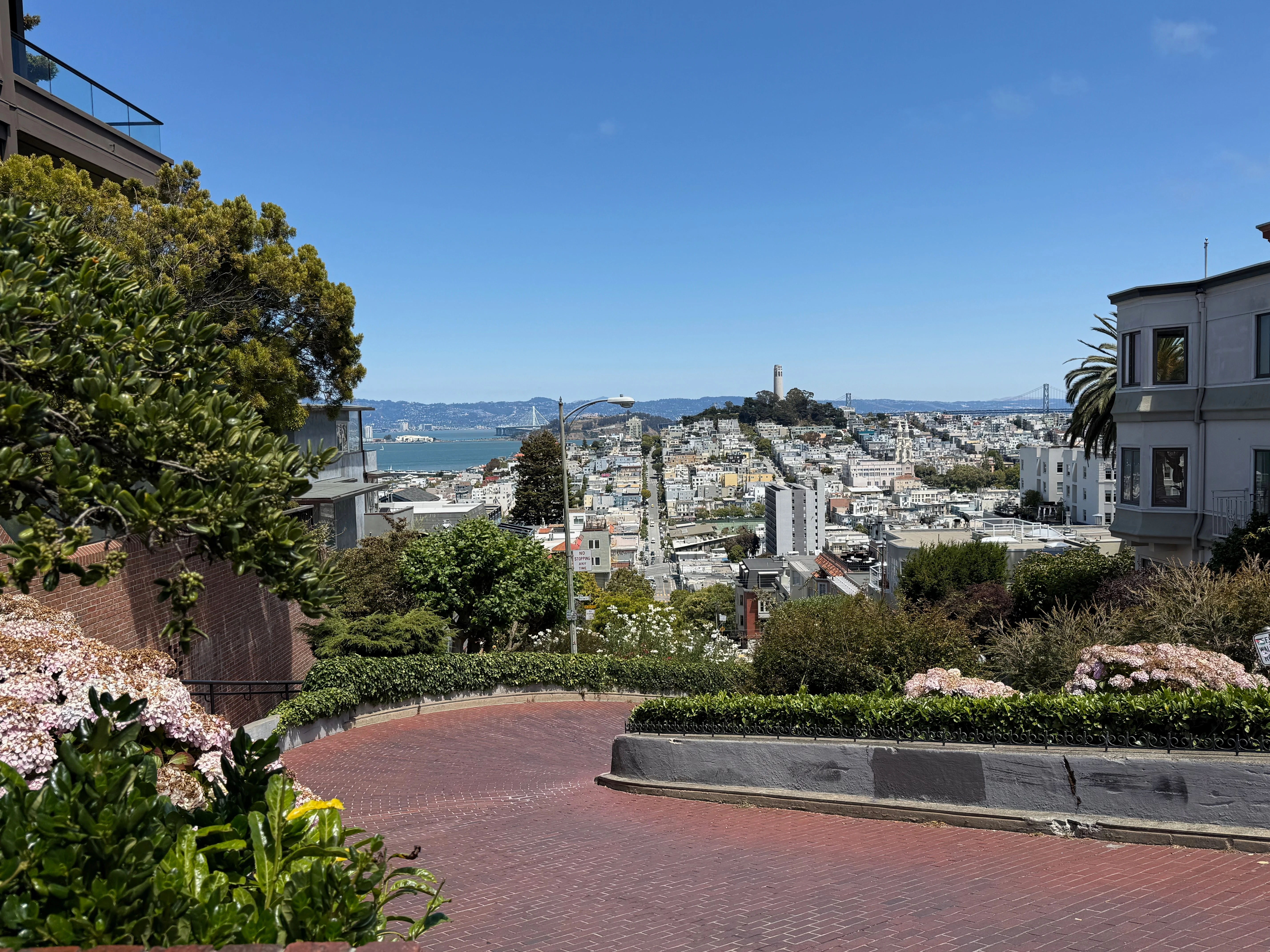 Winding Through the Heart of San Francisco