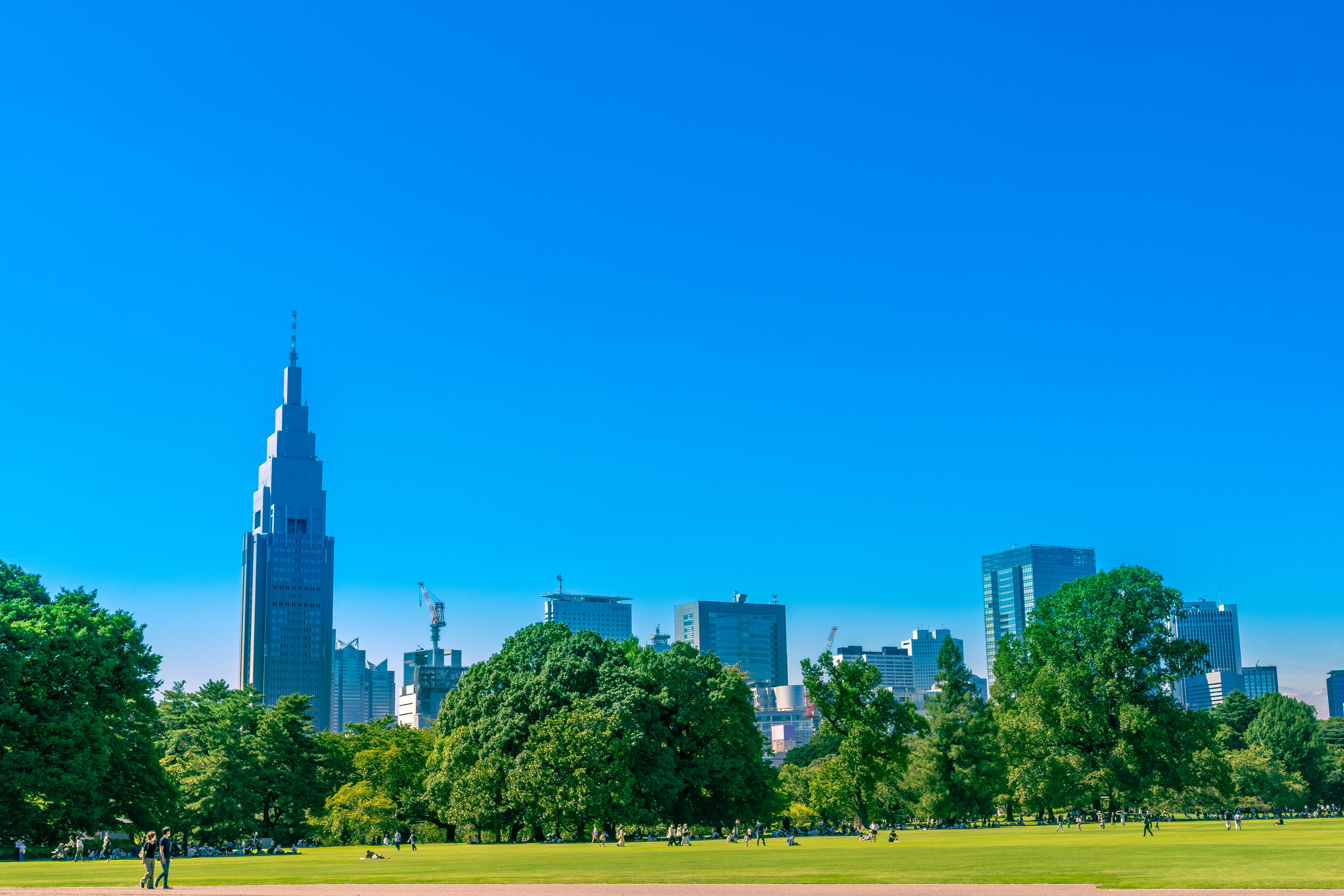 Peaceful Urban Oasis with Towering Skyscrapers in the Background