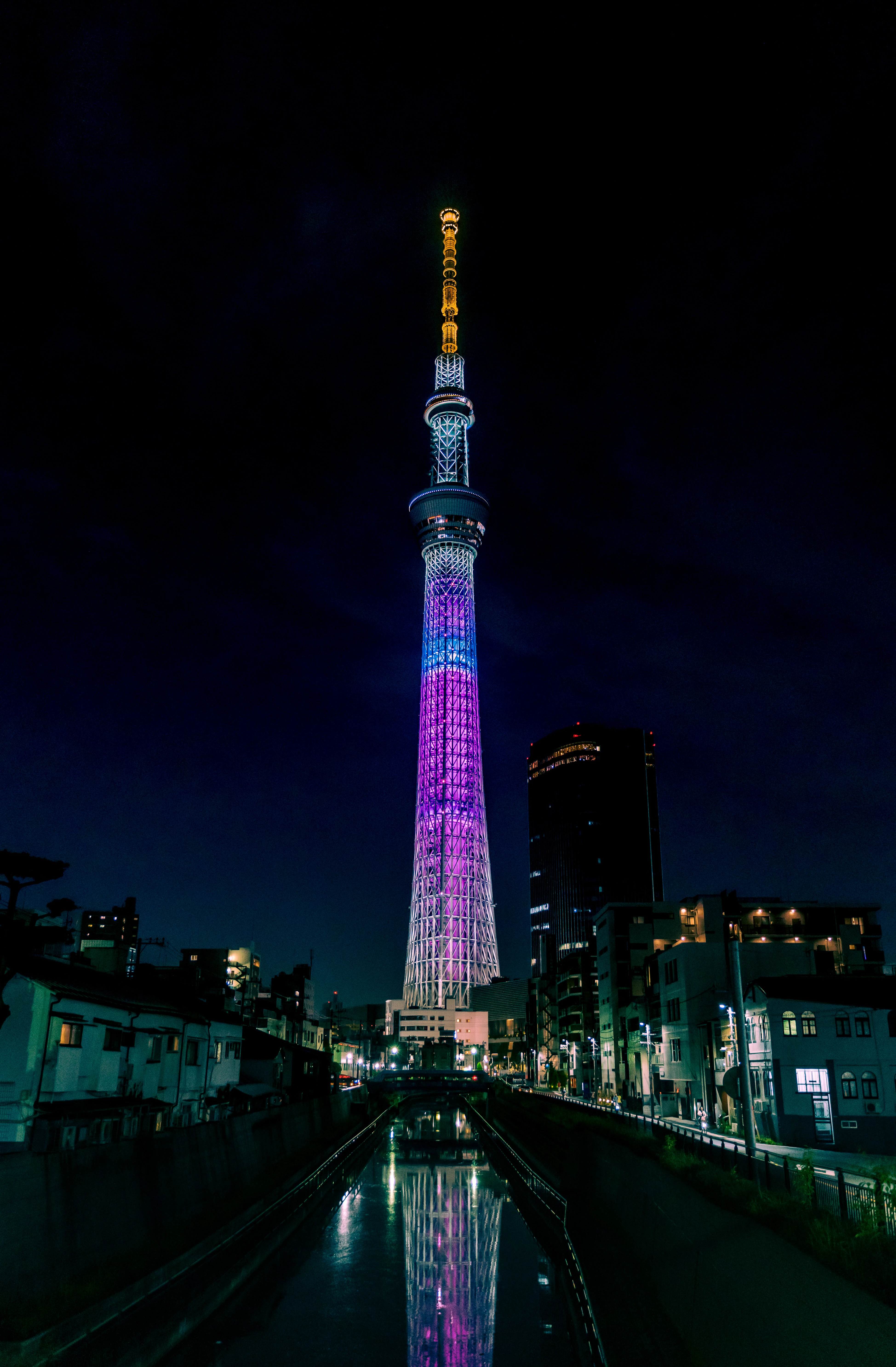 SkyTree Illuminated: A Vibrant Night in Tokyo