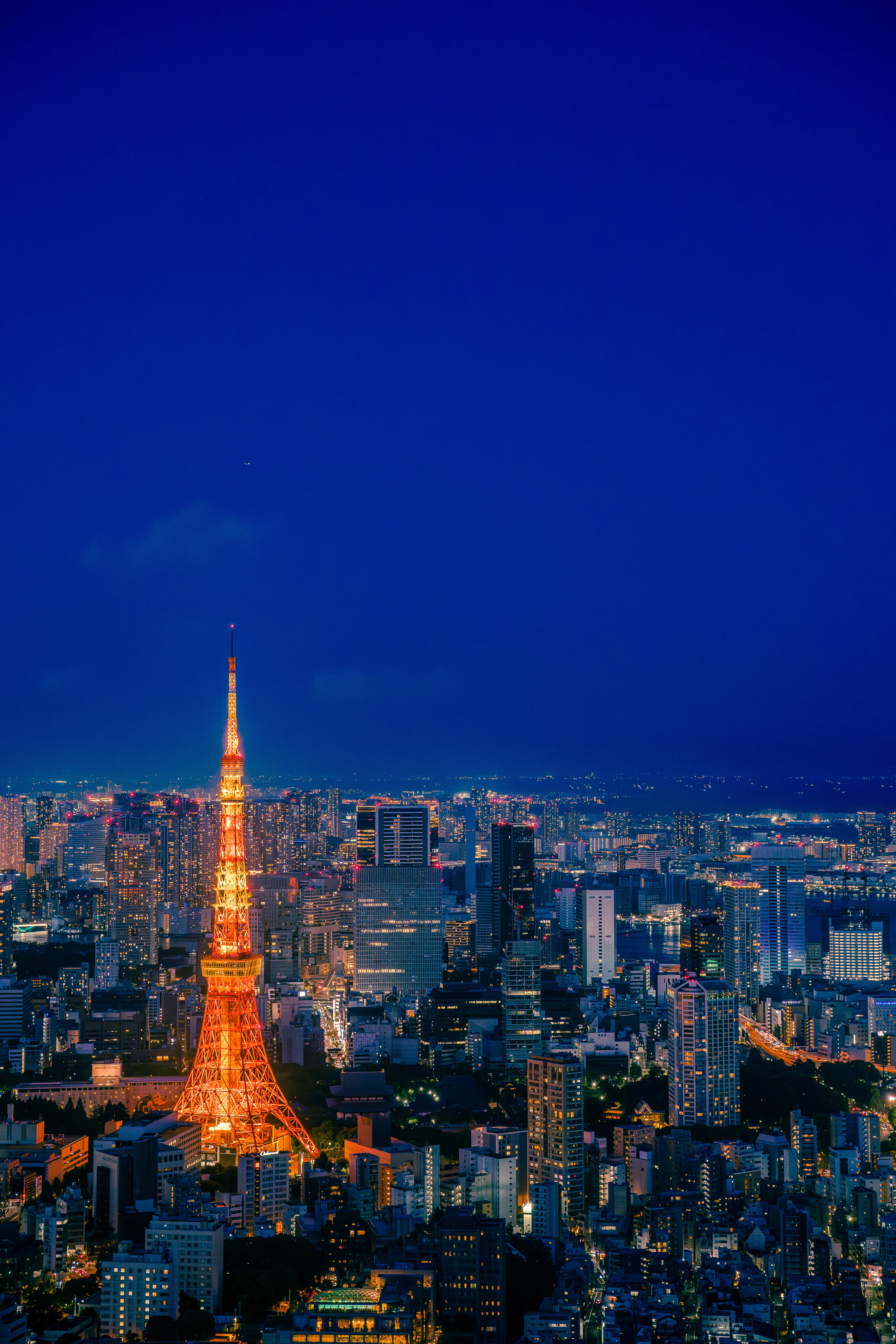 Tokyo Tower Illuminated Against a Vibrant Cityscape