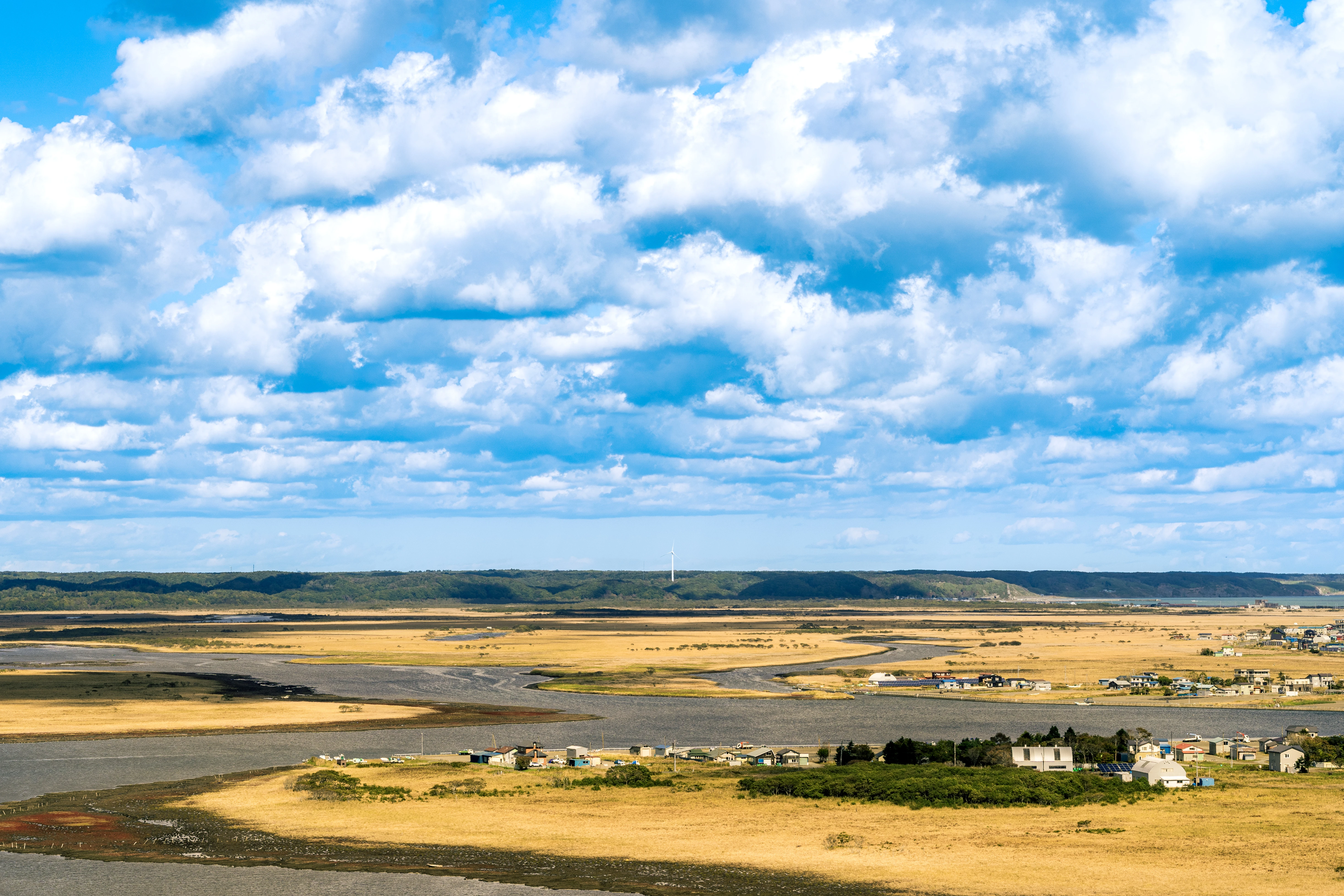 Golden Wetland Beneath a Cloud-Strewn Sky