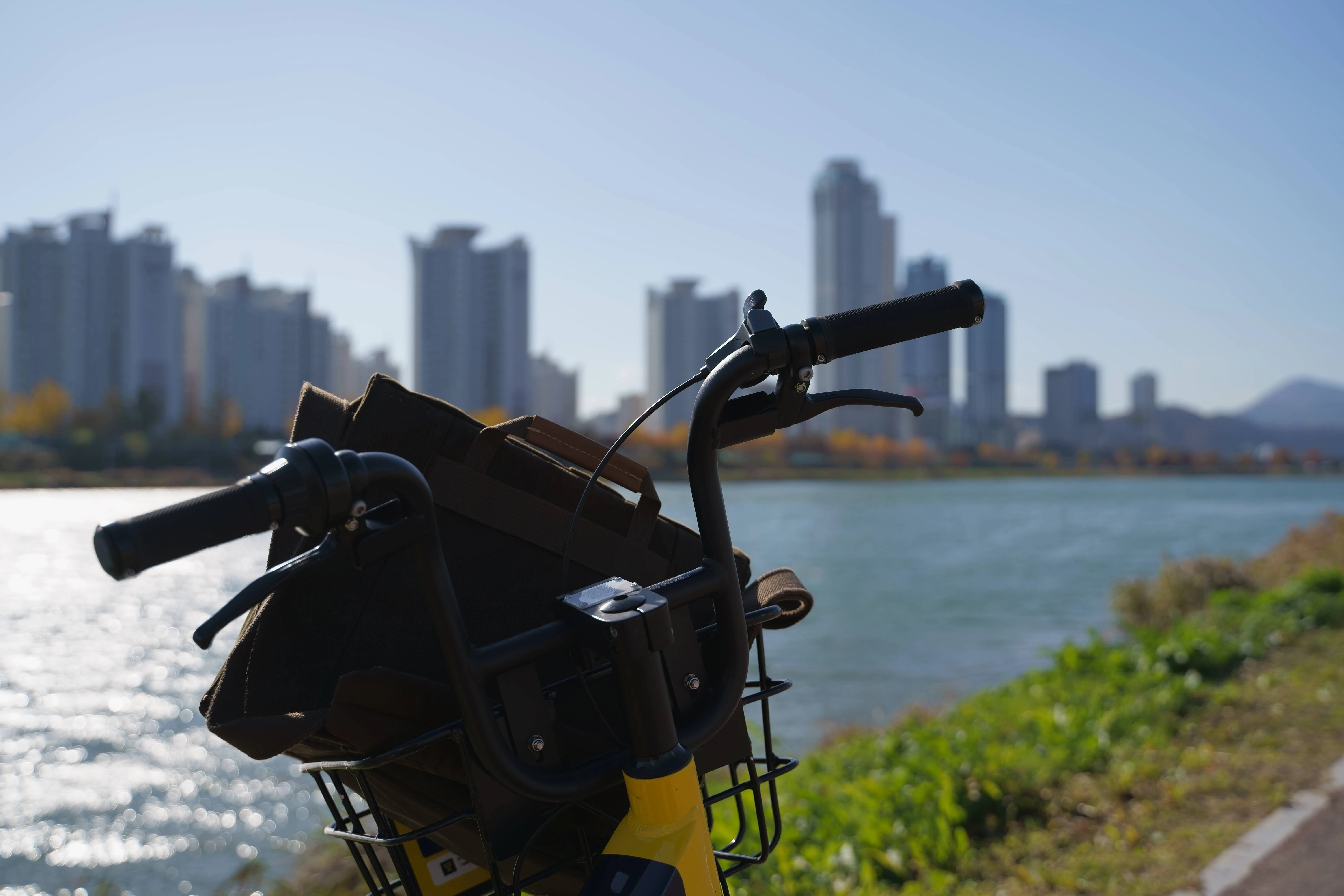 Urban Riverside Ride with Skyscraper Backdrop
