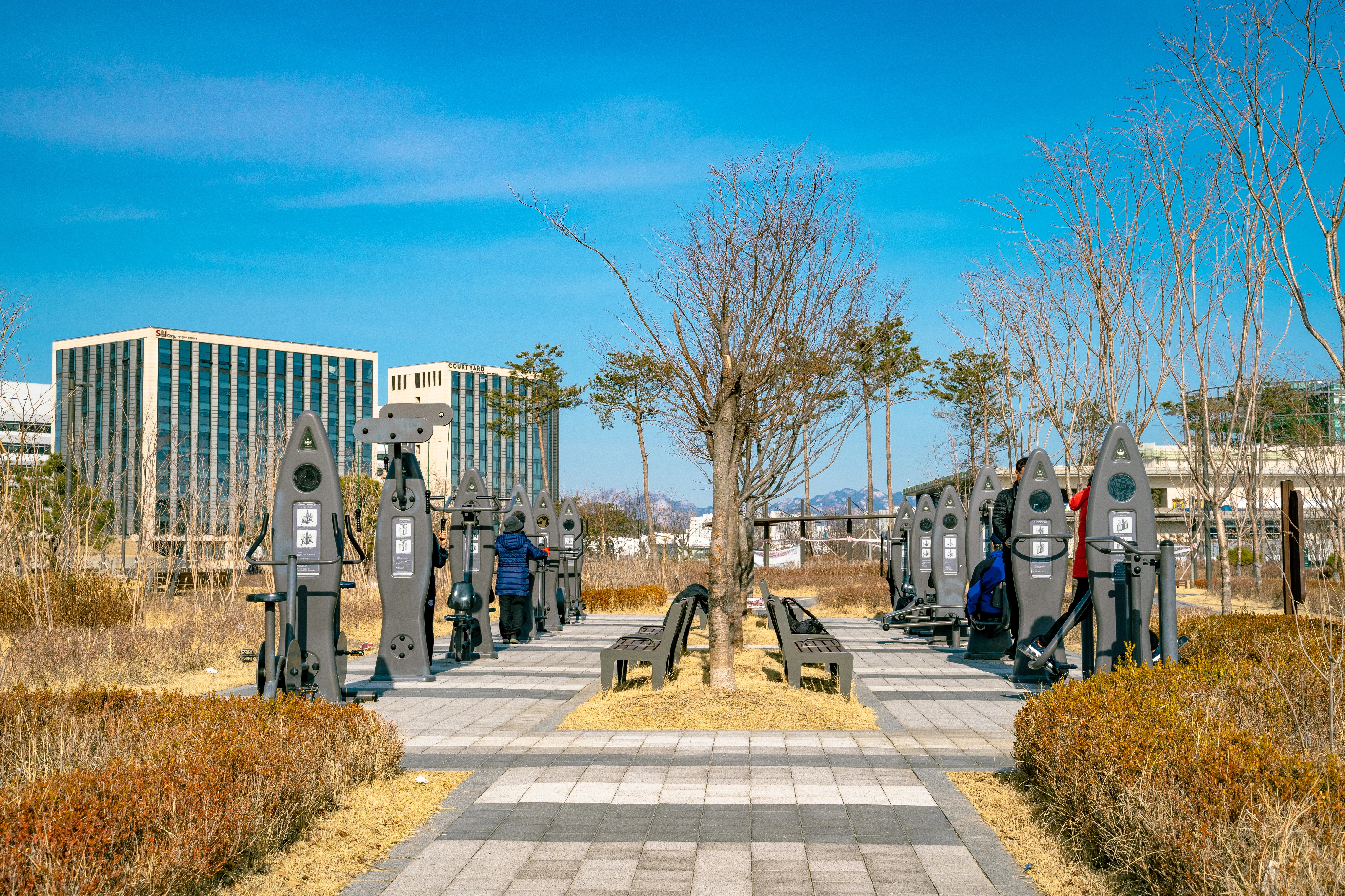 Urban Outdoor Gym with Scenic Winter Trees